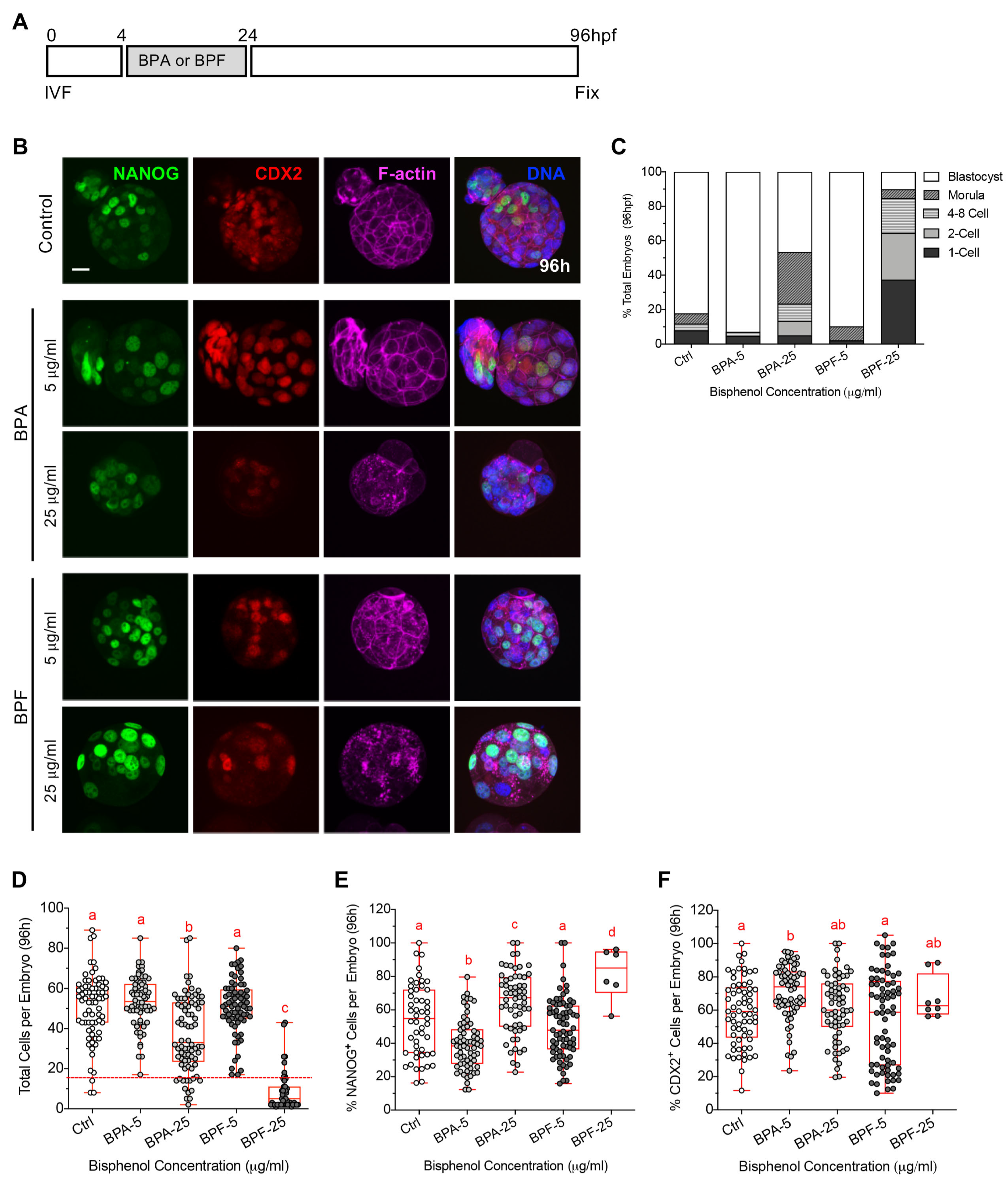 Cells 11 03233 g002 Cells 11 03233 g002