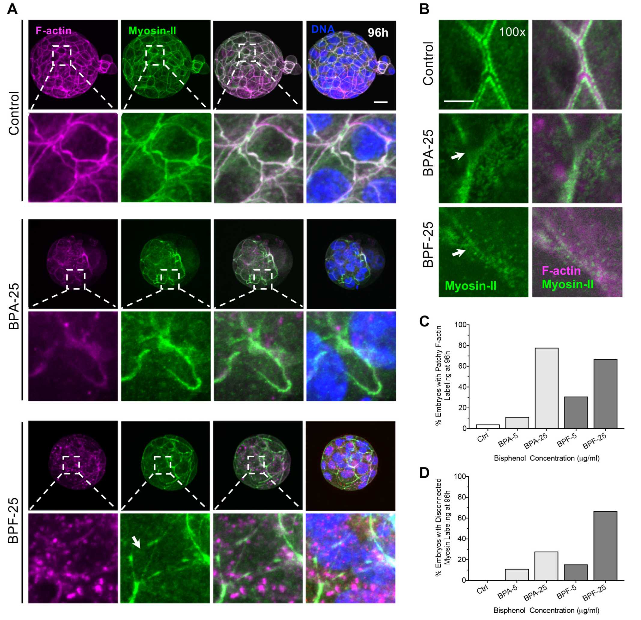 Cells 11 03233 g003 Cells 11 03233 g003