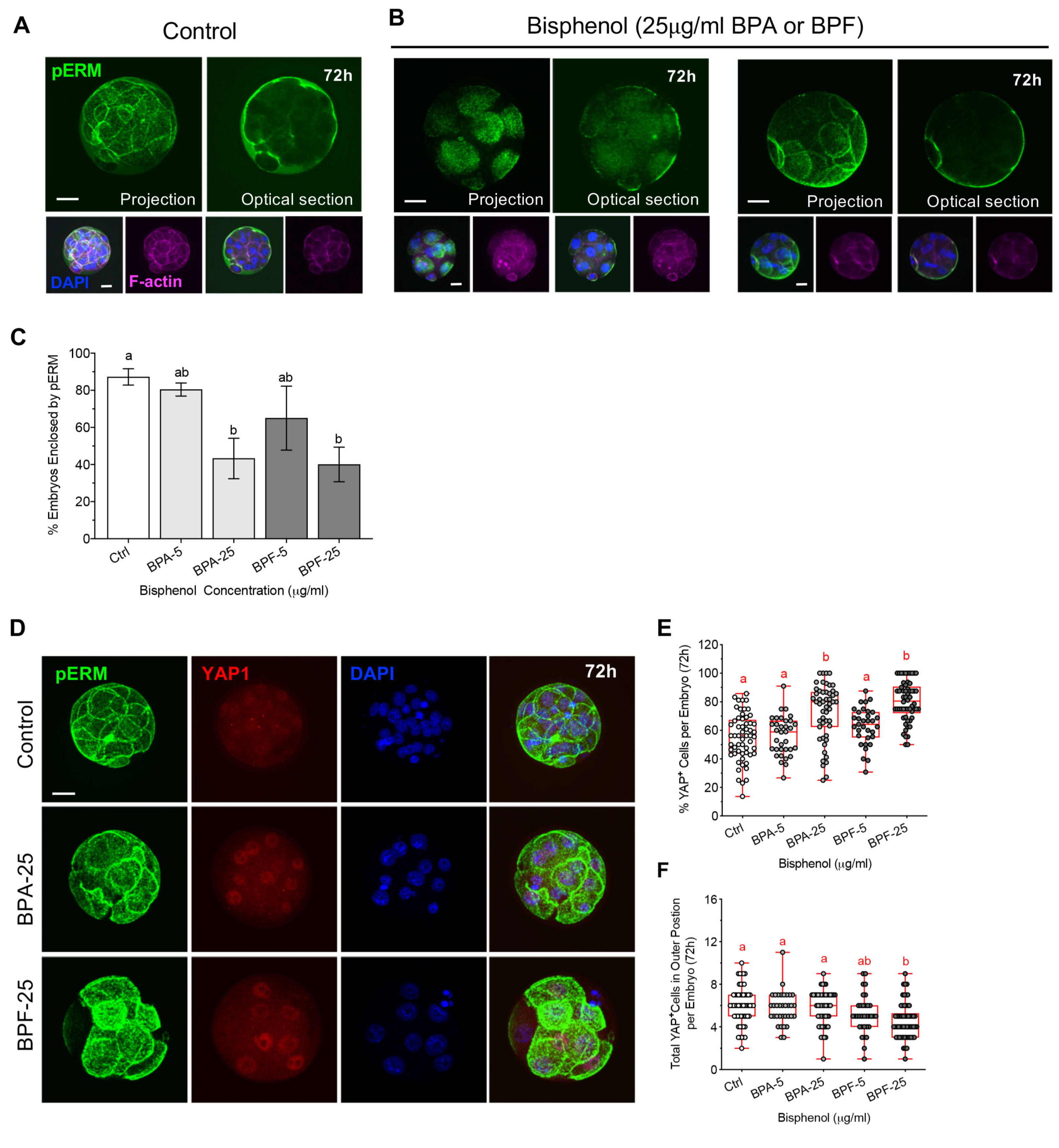 Cells 11 03233 g006 Cells 11 03233 g006