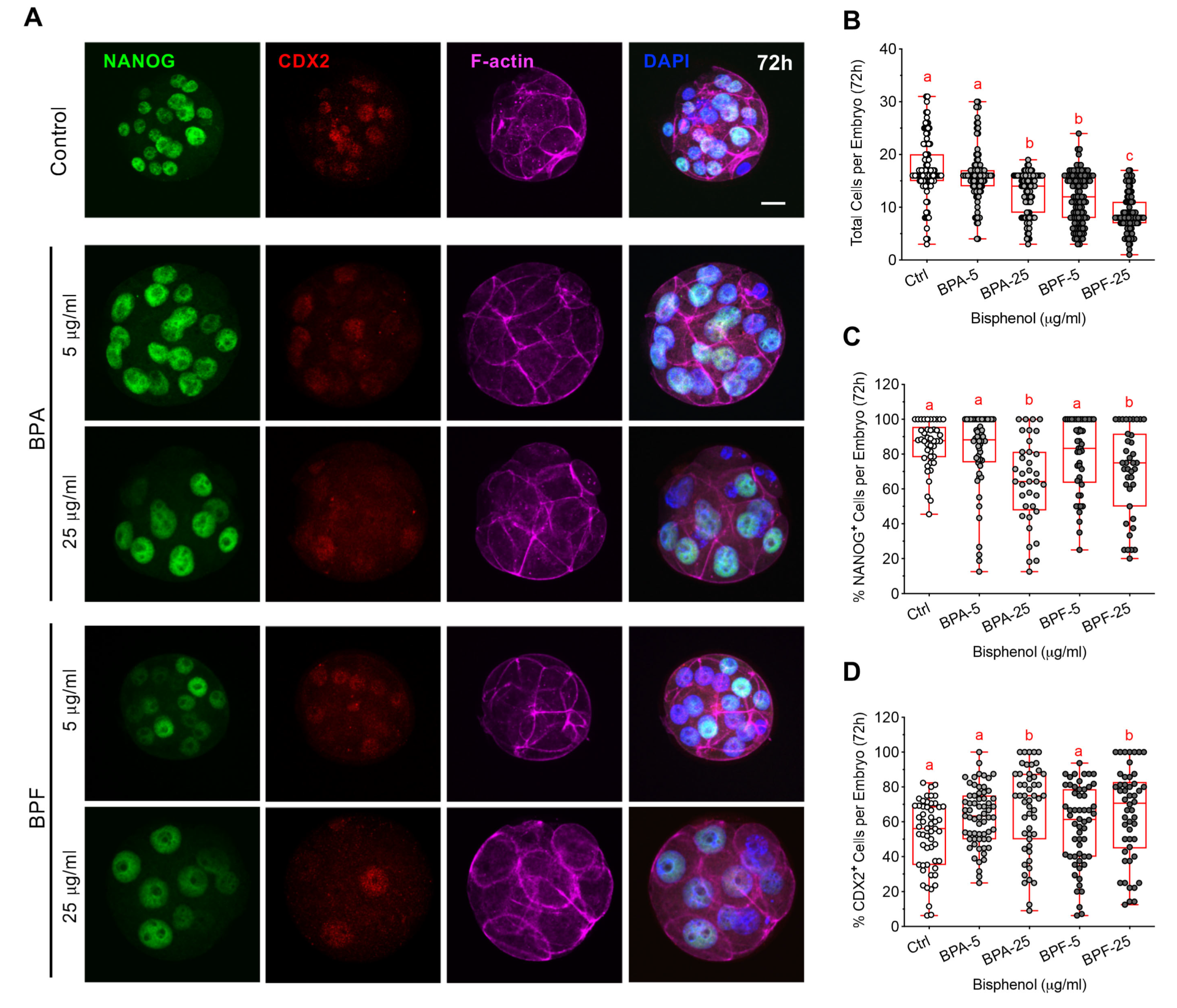 Cells 11 03233 g007 Cells 11 03233 g007