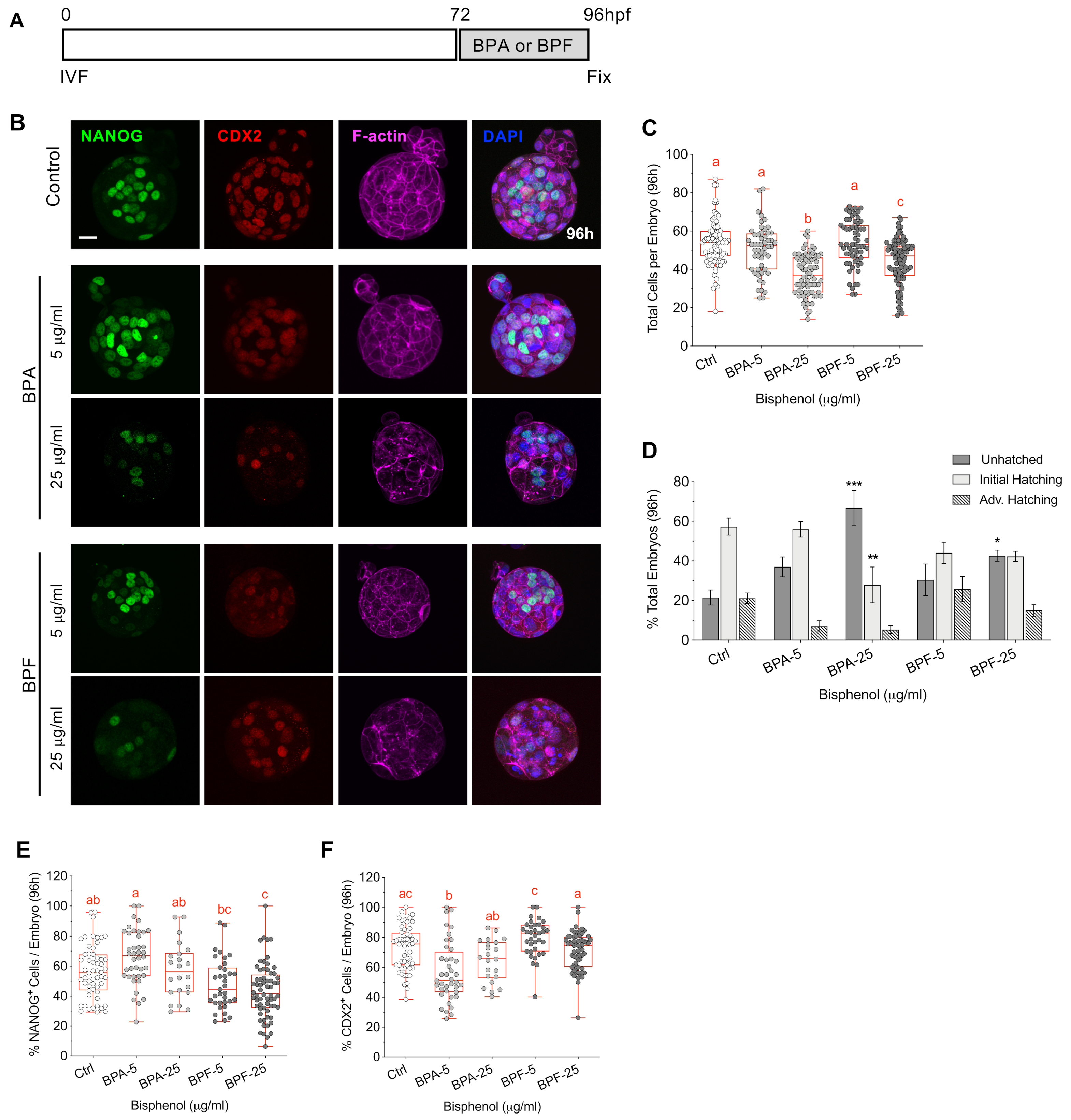Cells 11 03233 g008 Cells 11 03233 g008