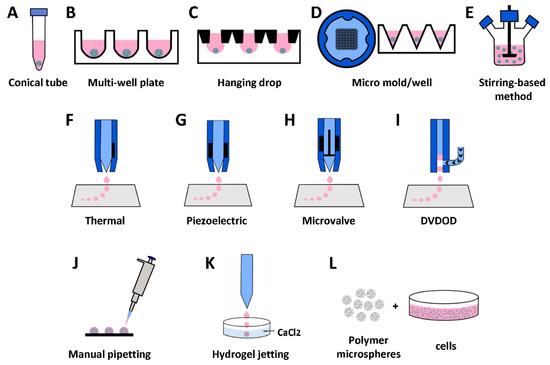 Cells | Free Full-Text | Articular Cartilage Regeneration through 