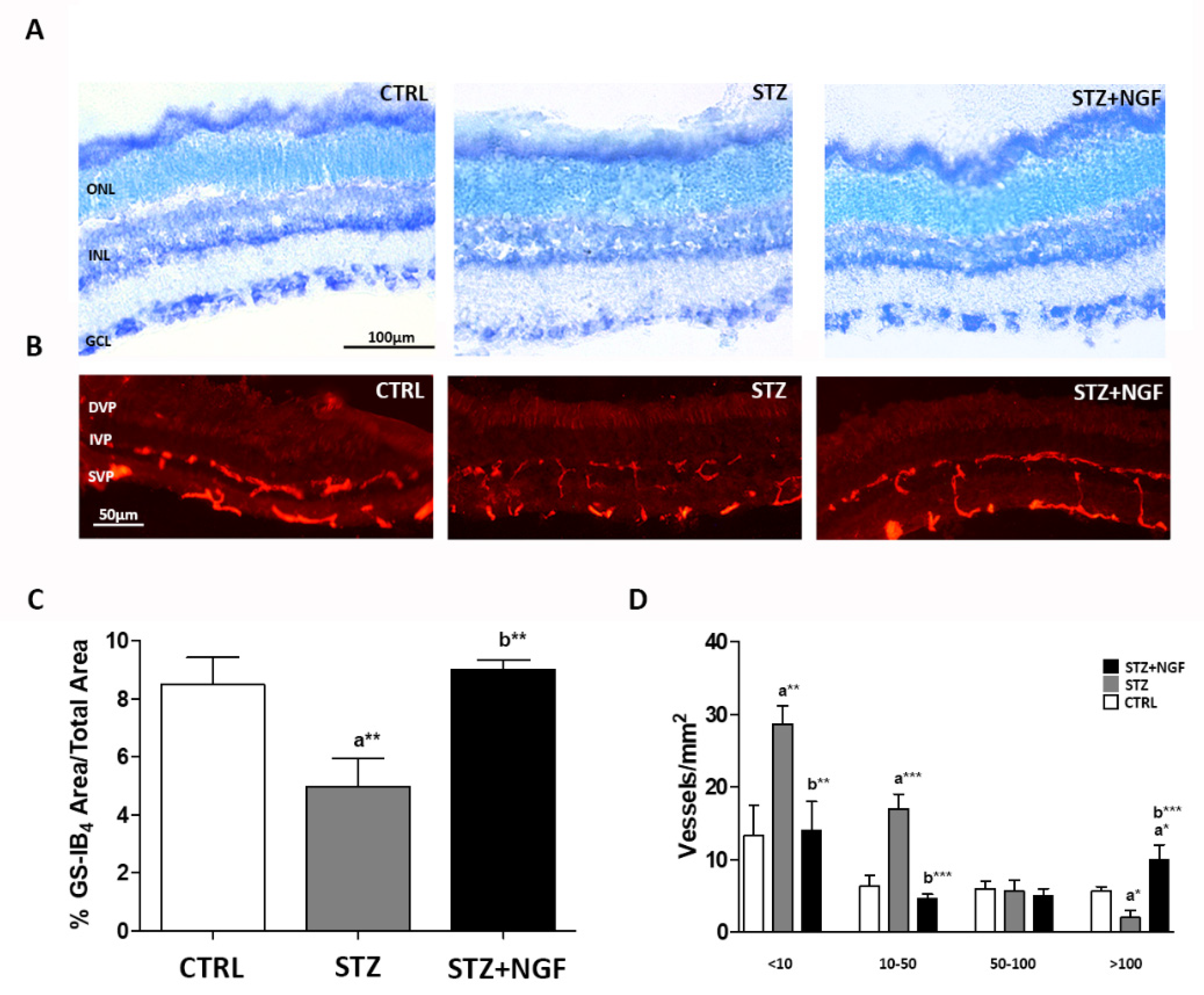 Cells 11 03246 g001 Cells 11 03246 g001