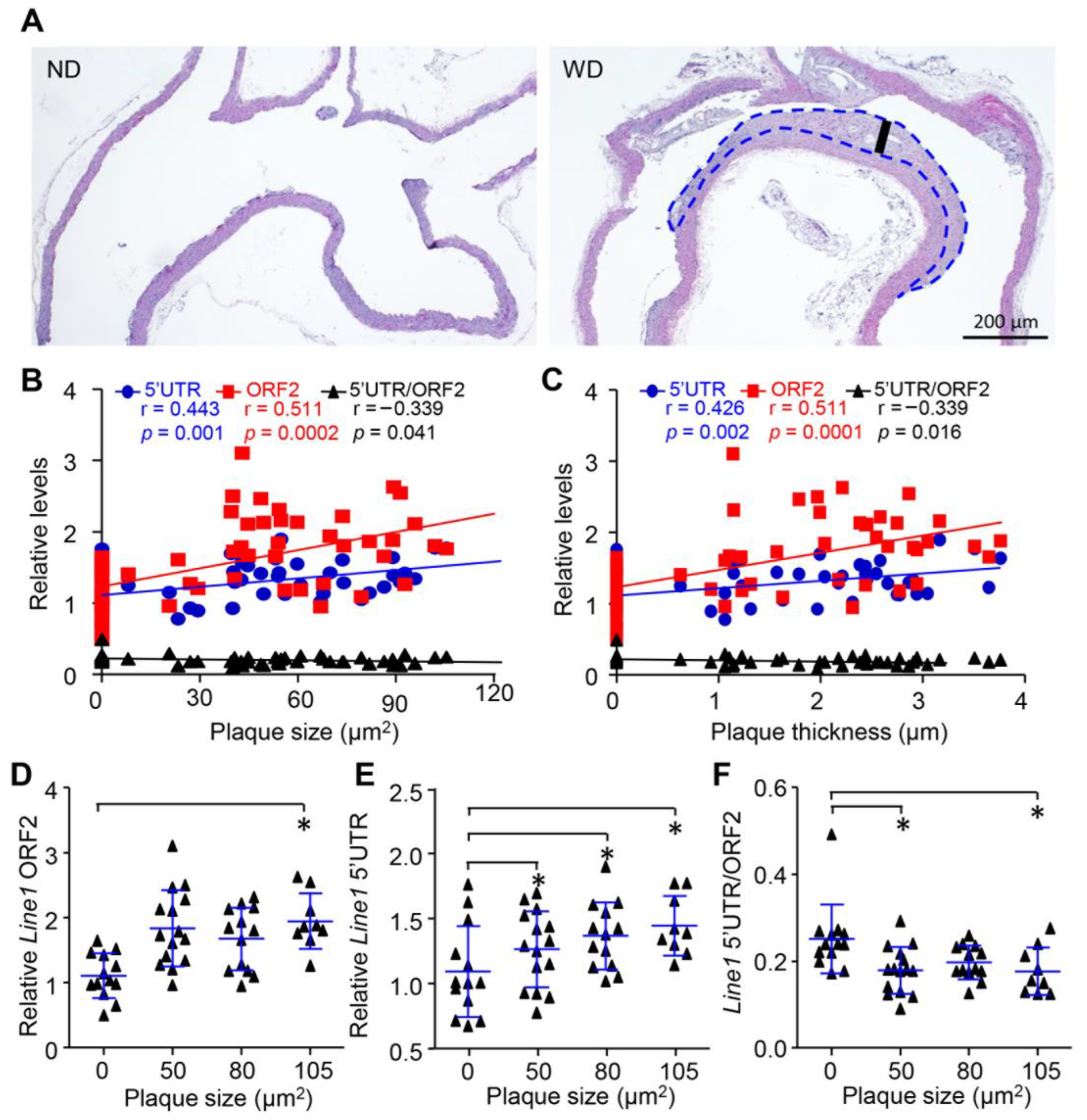 Cells 11 03248 g004 Cells 11 03248 g004