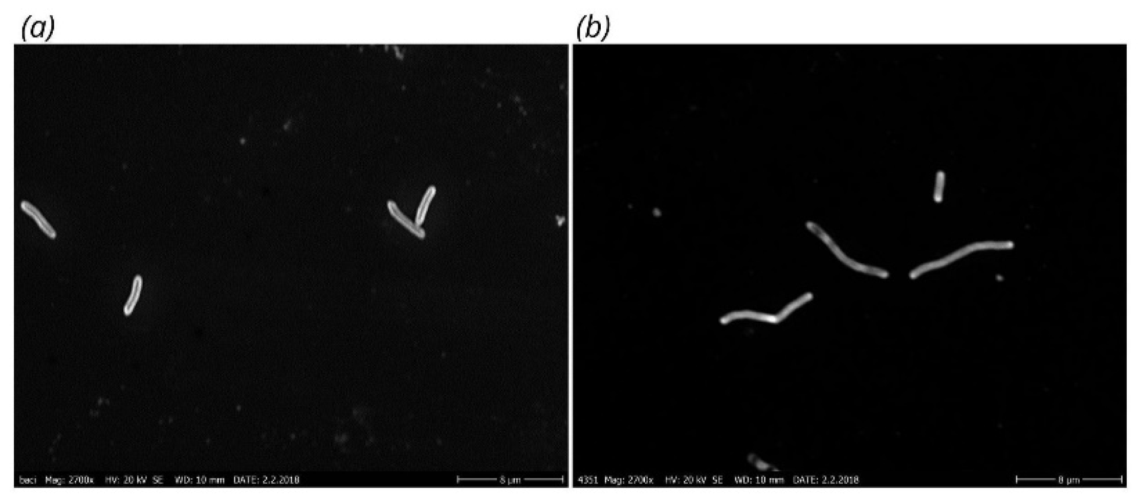 Cells 11 03249 g003 Cells 11 03249 g003