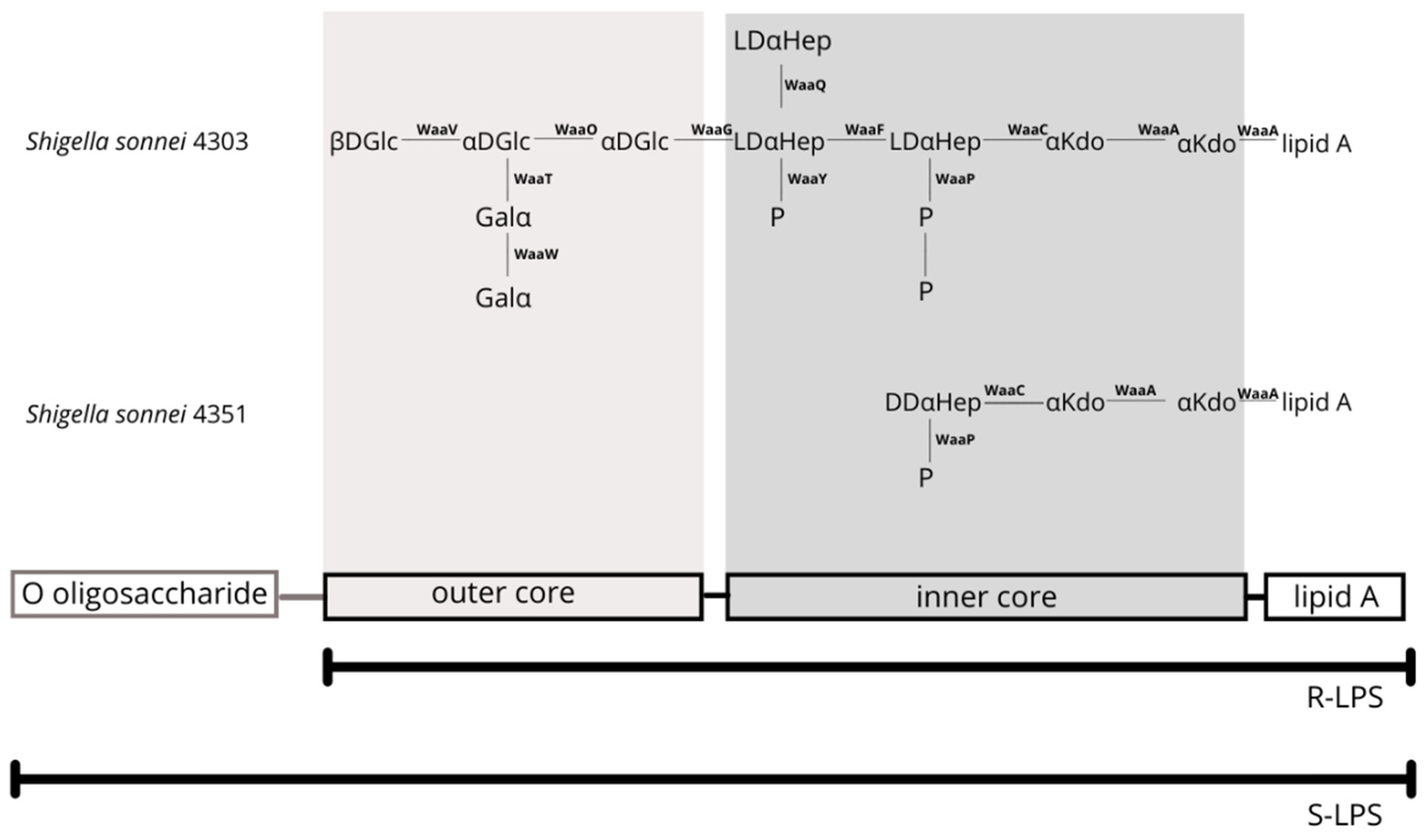 Cells 11 03249 g004 Cells 11 03249 g004