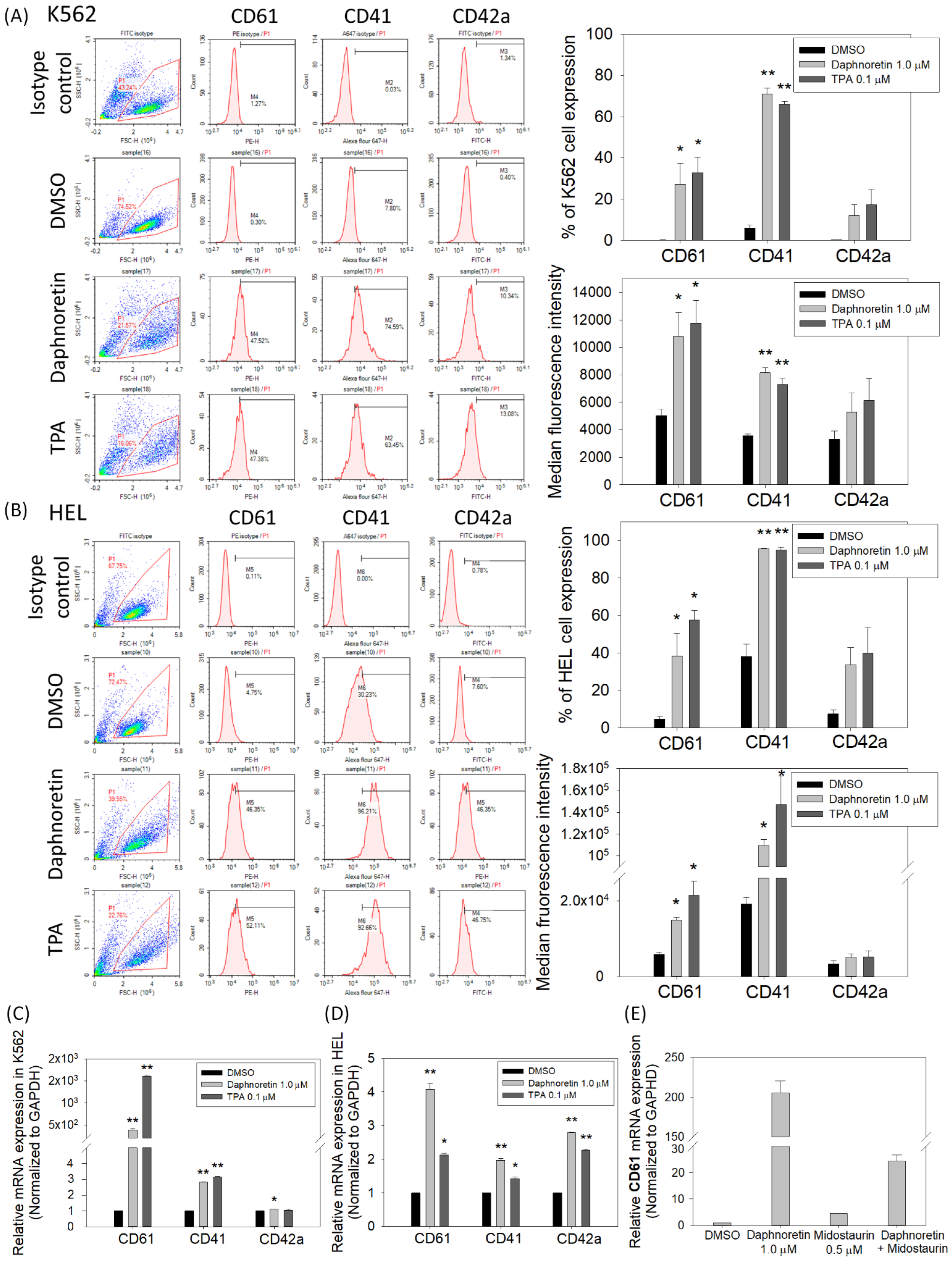 Cells 11 03252 g004 Cells 11 03252 g004