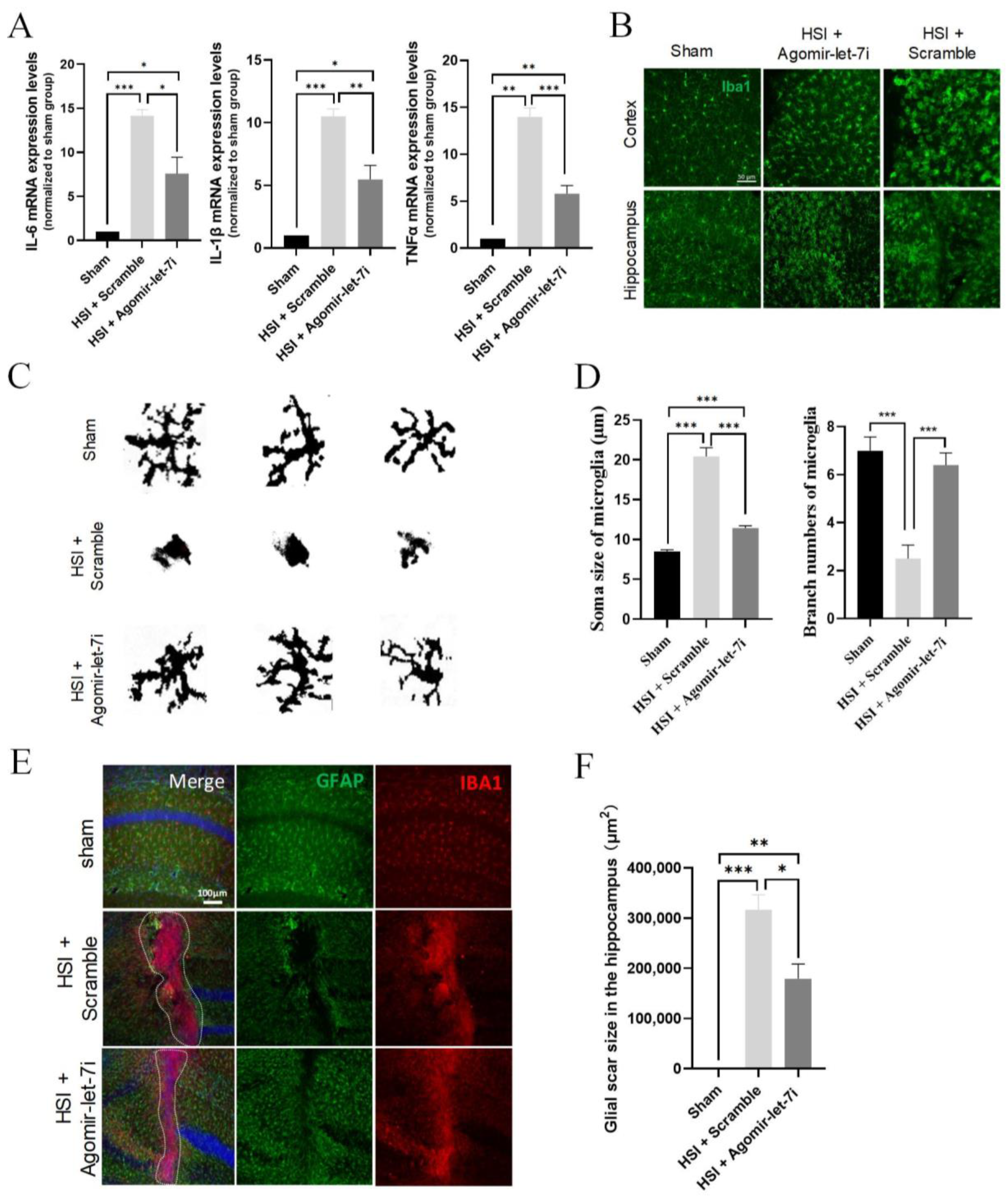 Cells 11 03253 g001 550