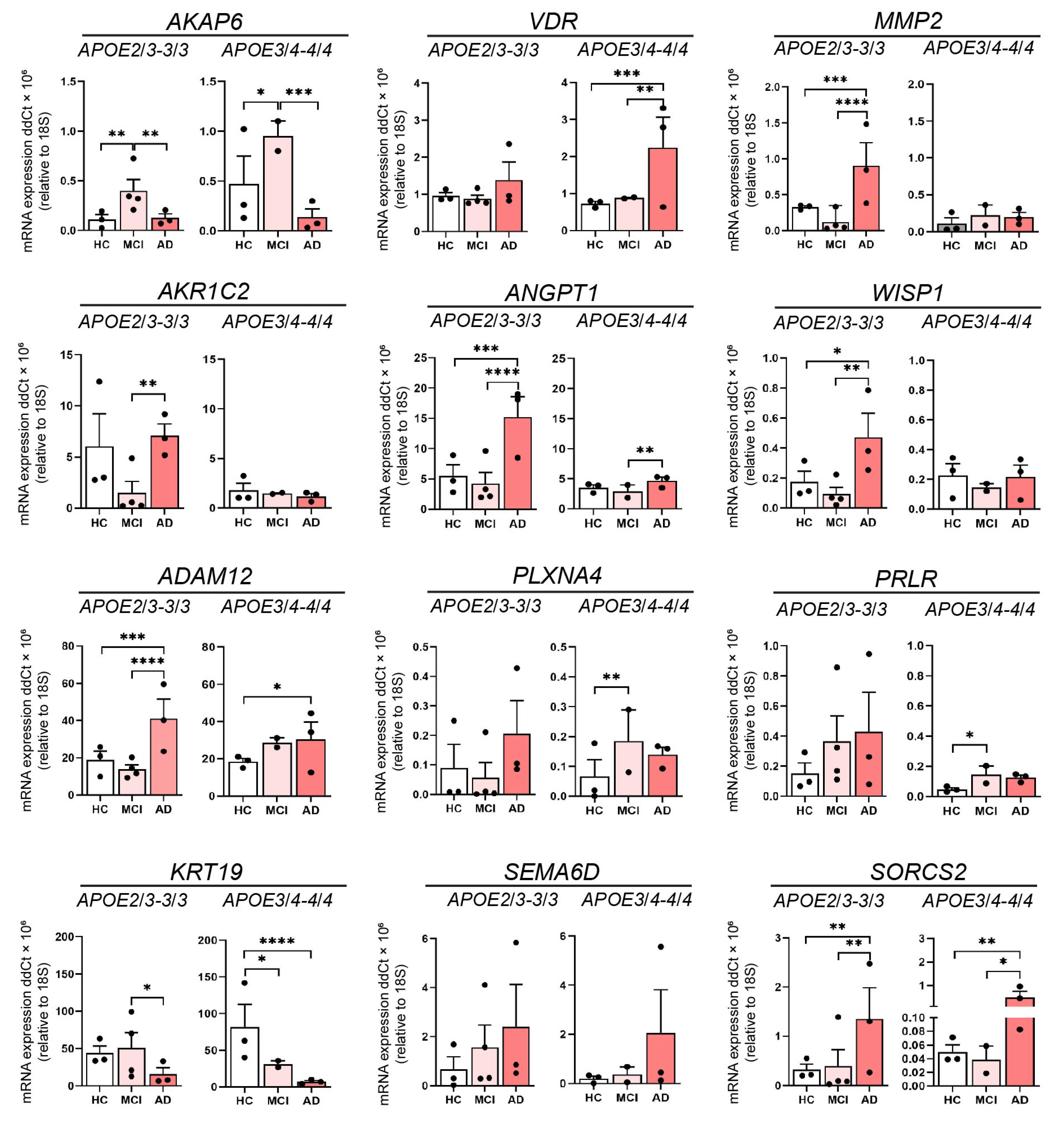 Cells 11 03258 g004 Cells 11 03258 g004