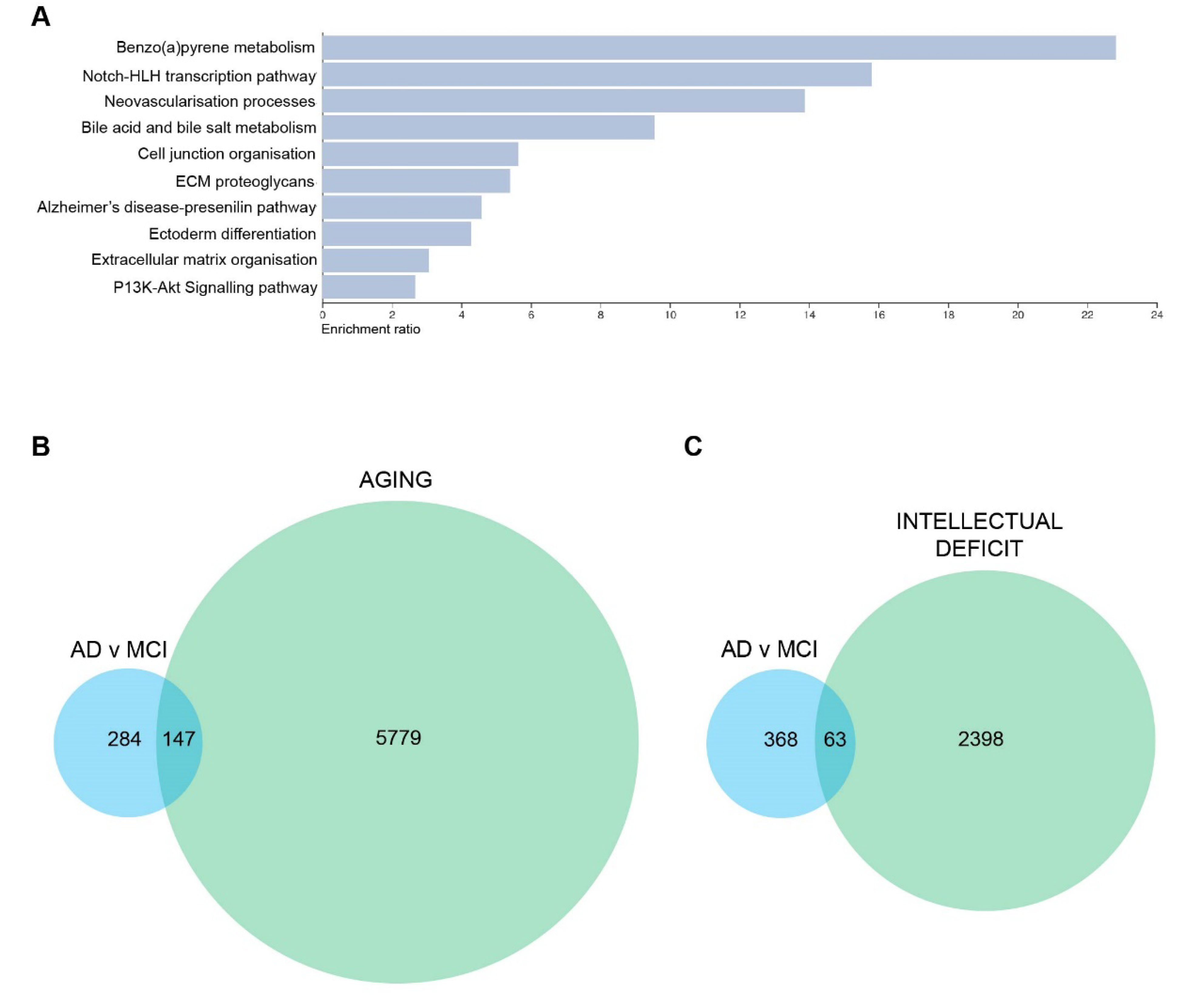 Cells 11 03258 g005 Cells 11 03258 g005