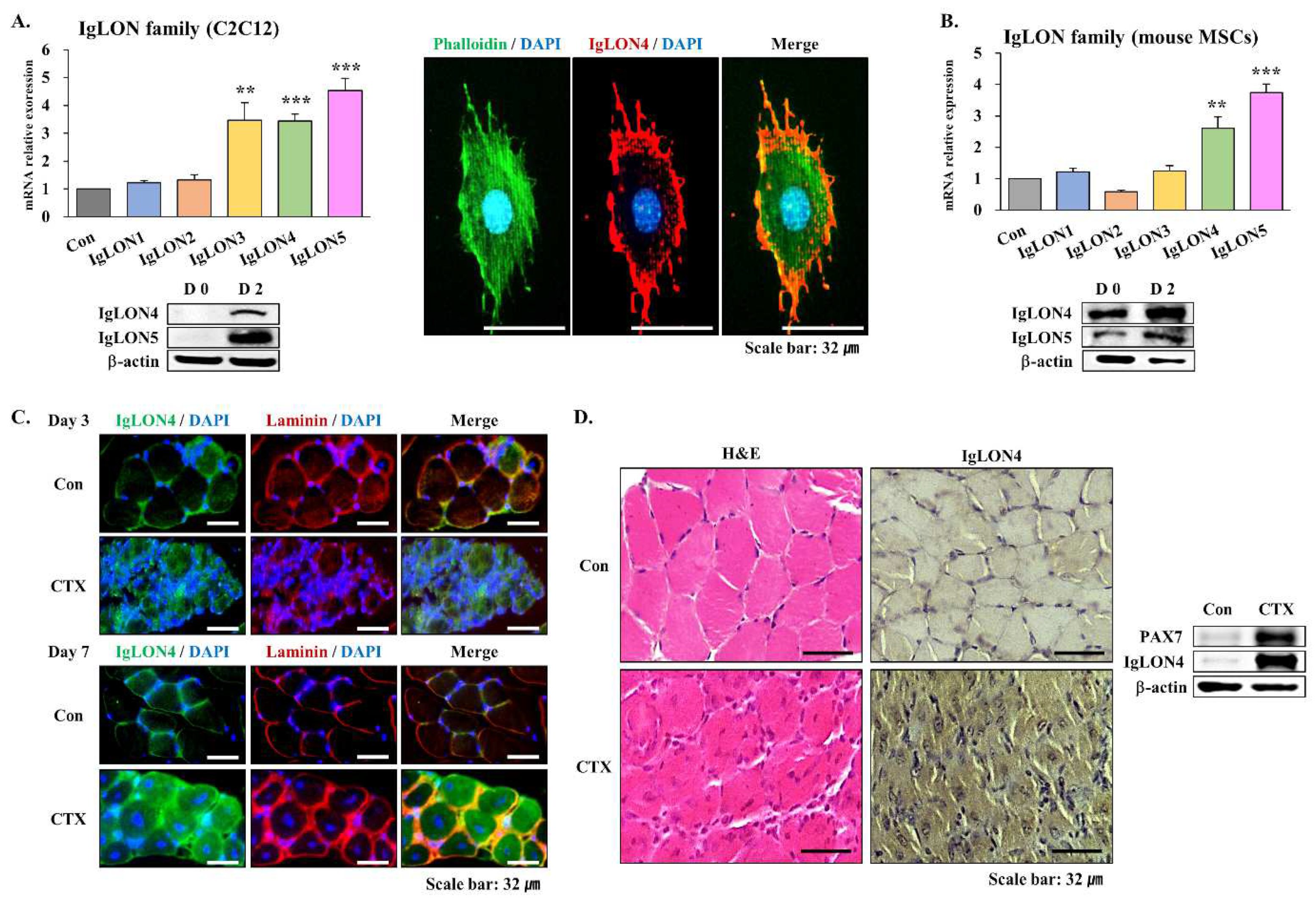 Cells 11 03265 g001 Cells 11 03265 g001