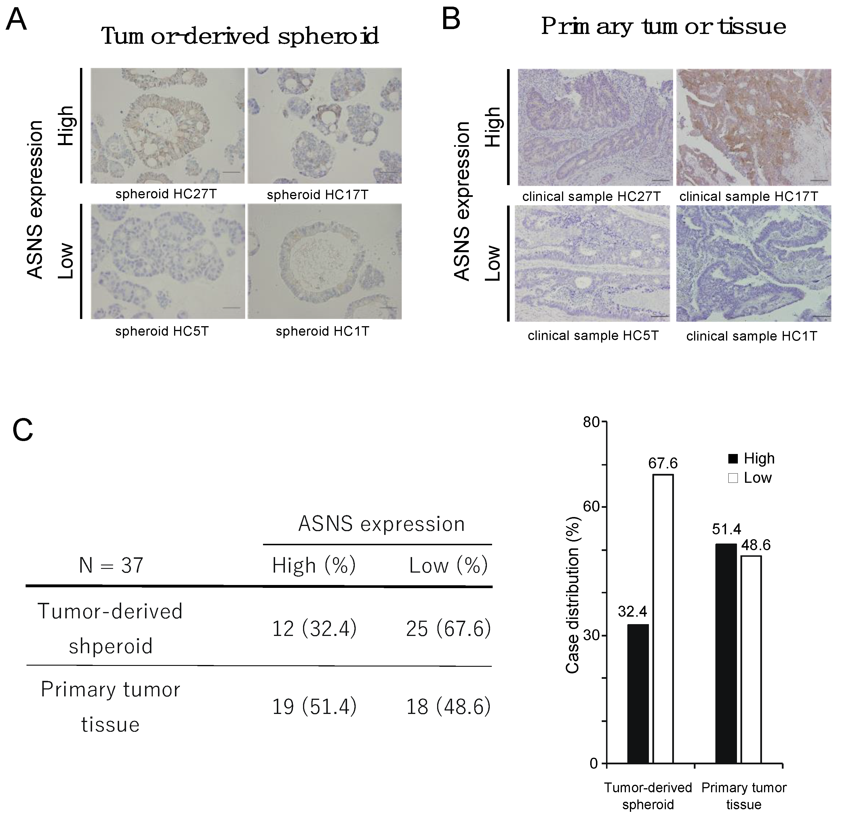 Cells 11 03273 g001 Cells 11 03273 g001