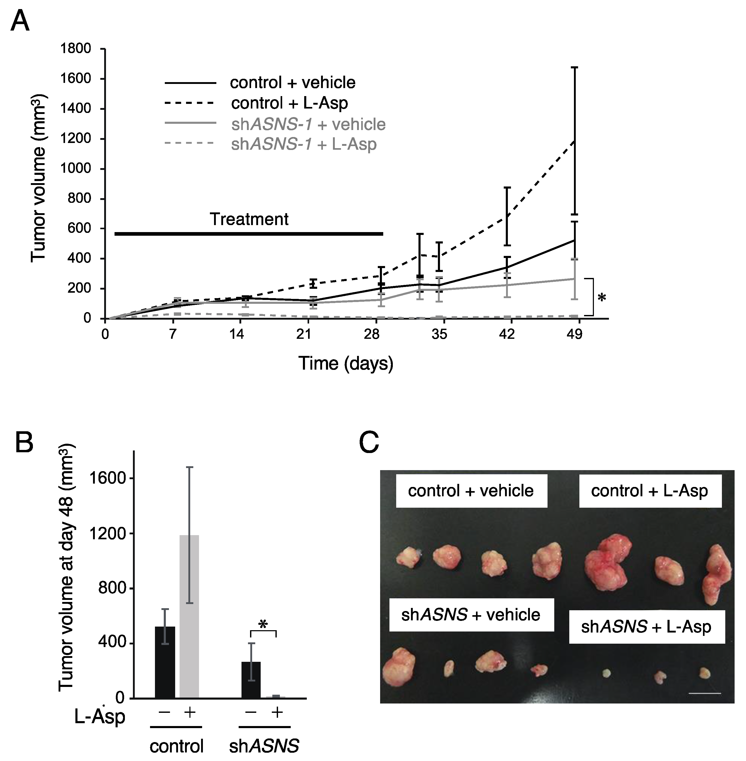 Cells 11 03273 g004 Cells 11 03273 g004