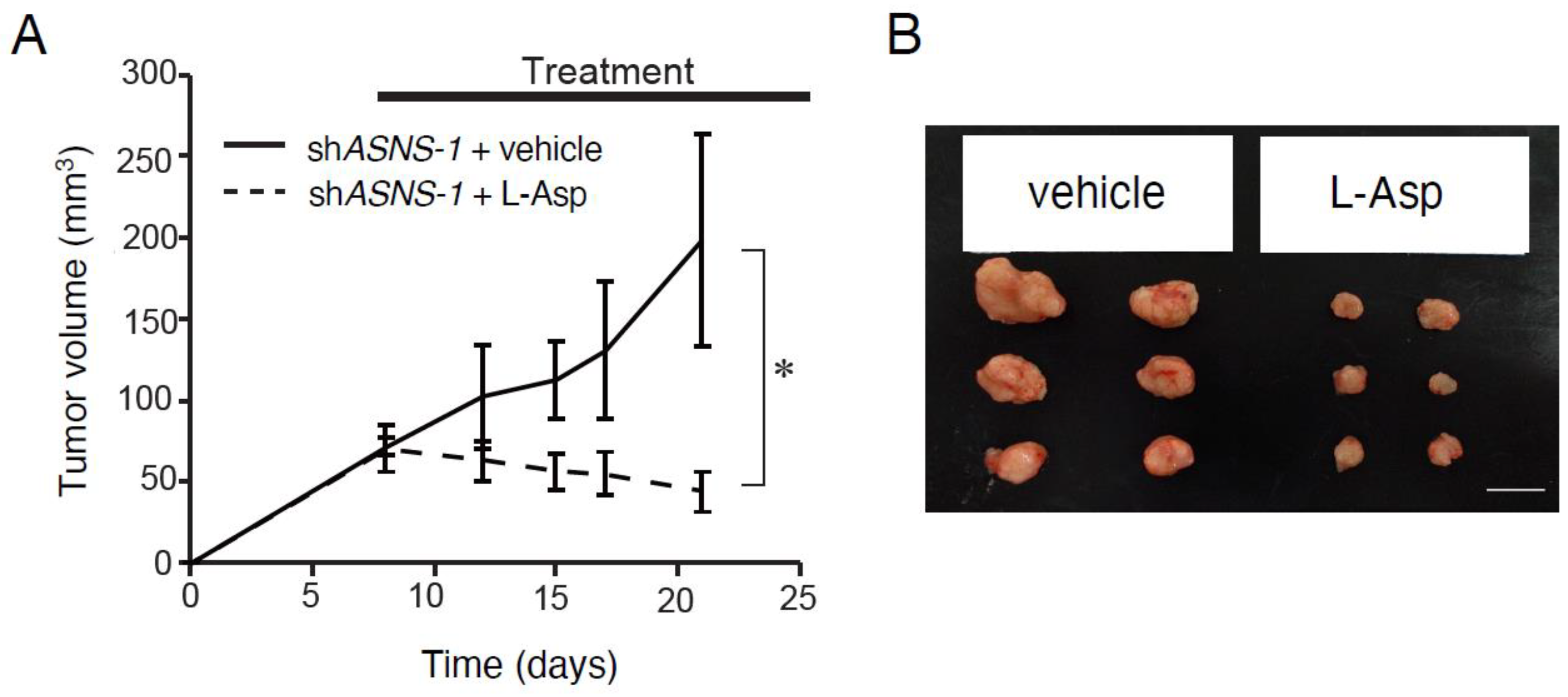 Cells 11 03273 g005 Cells 11 03273 g005