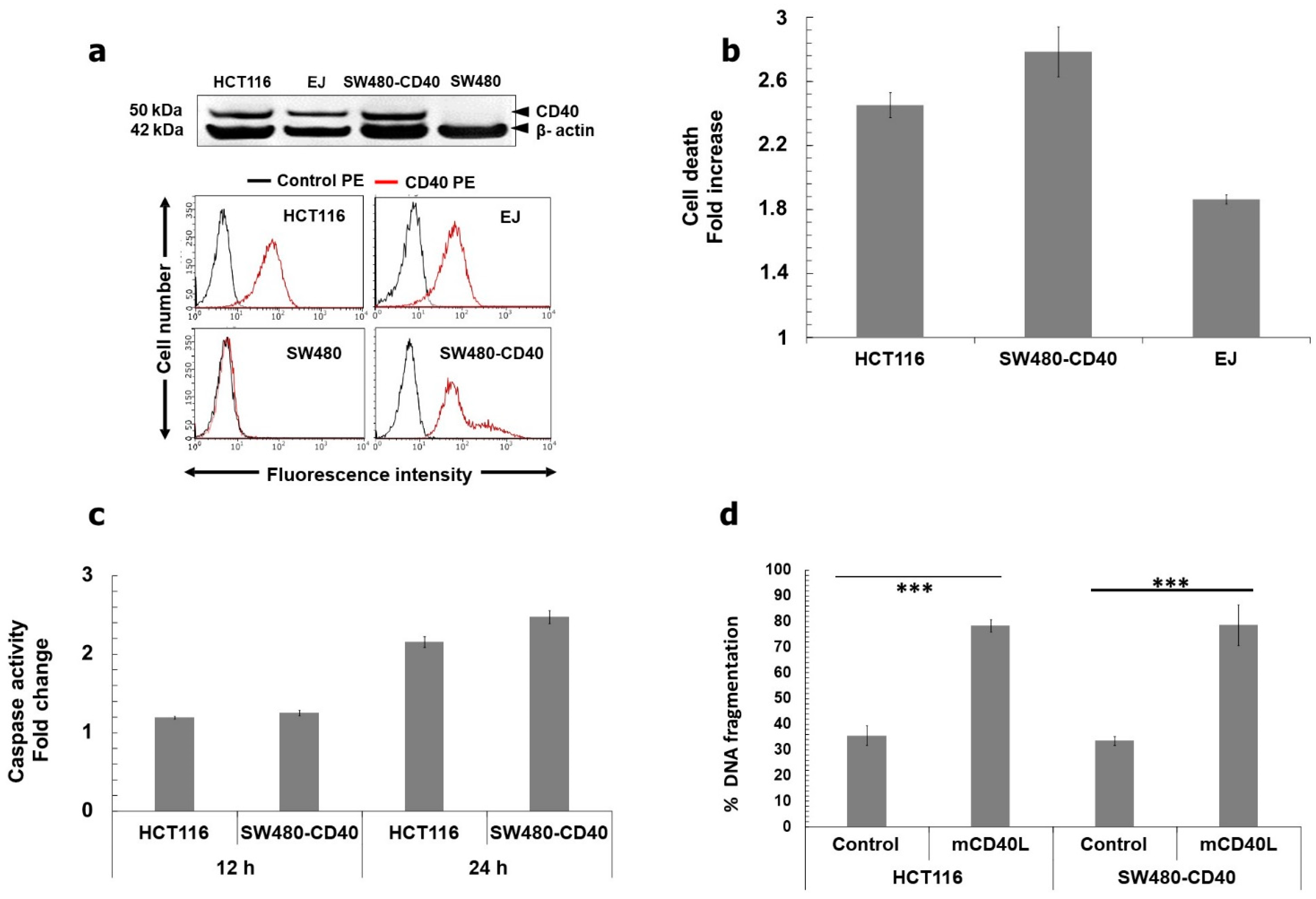 Cells 11 03274 g001 Cells 11 03274 g001