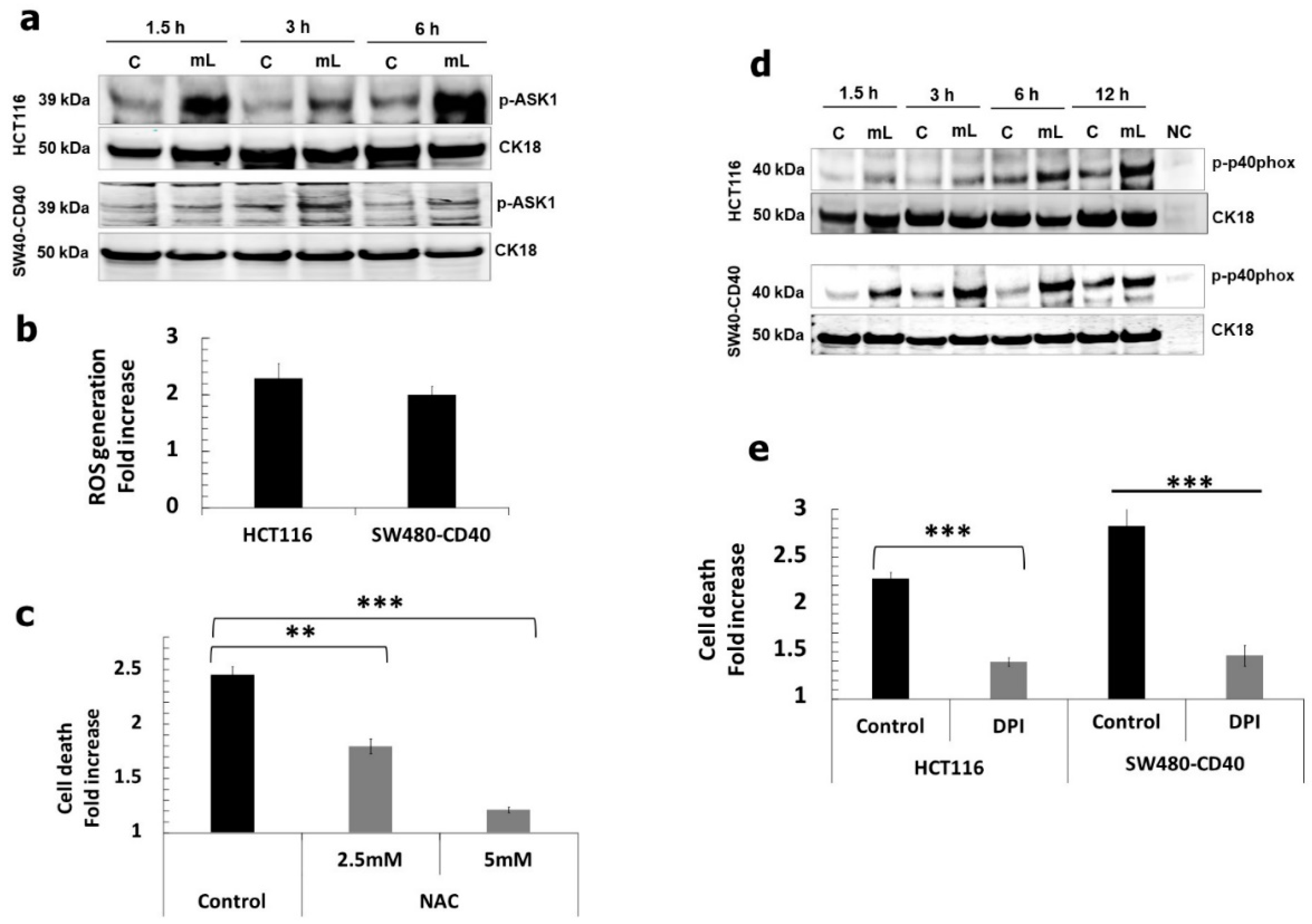 Cells 11 03274 g003 Cells 11 03274 g003