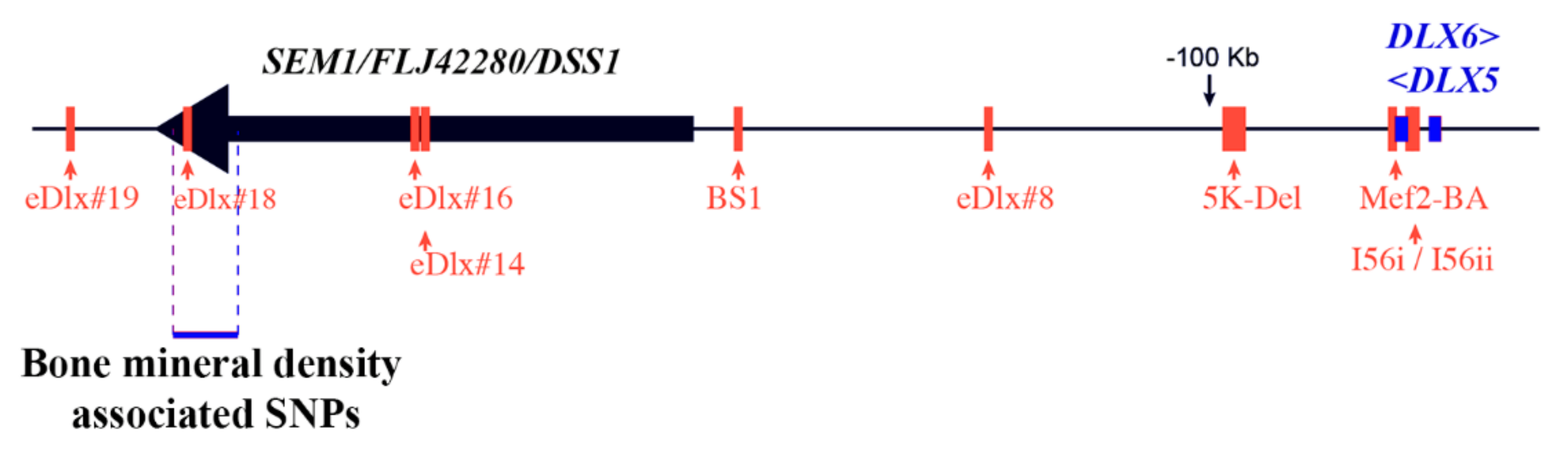 Cells 11 03277 g002 Cells 11 03277 g002