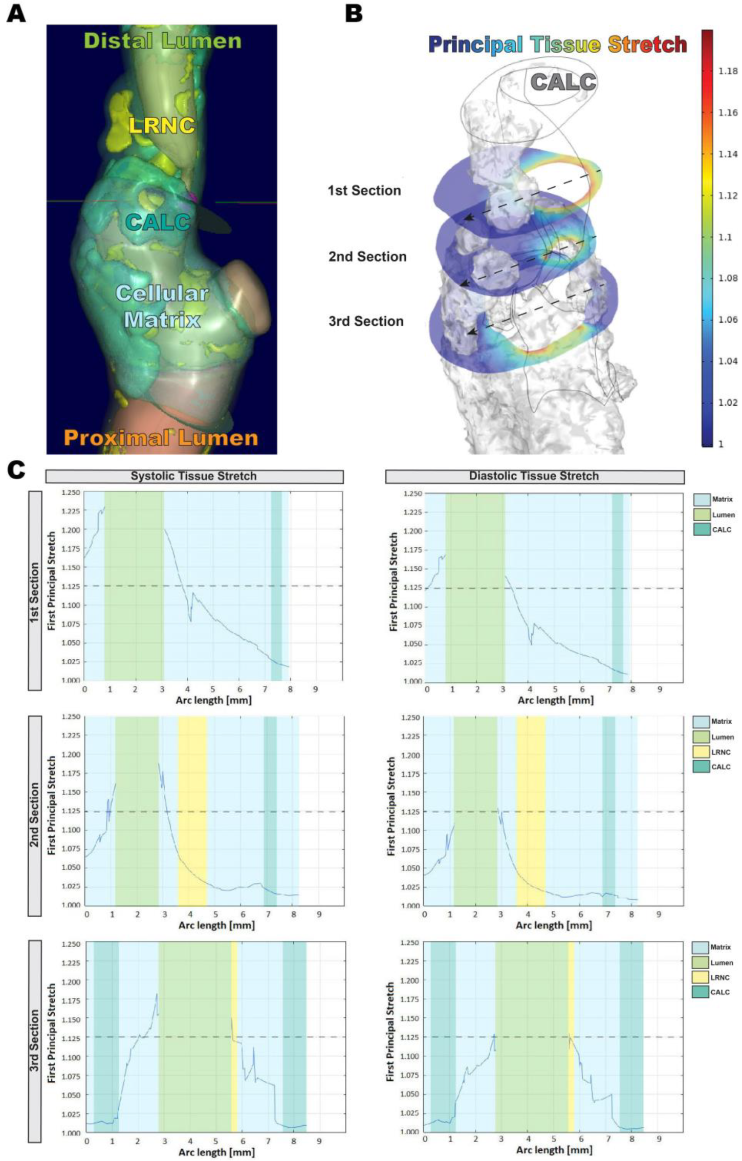 Cells 11 03279 g001 Cells 11 03279 g001