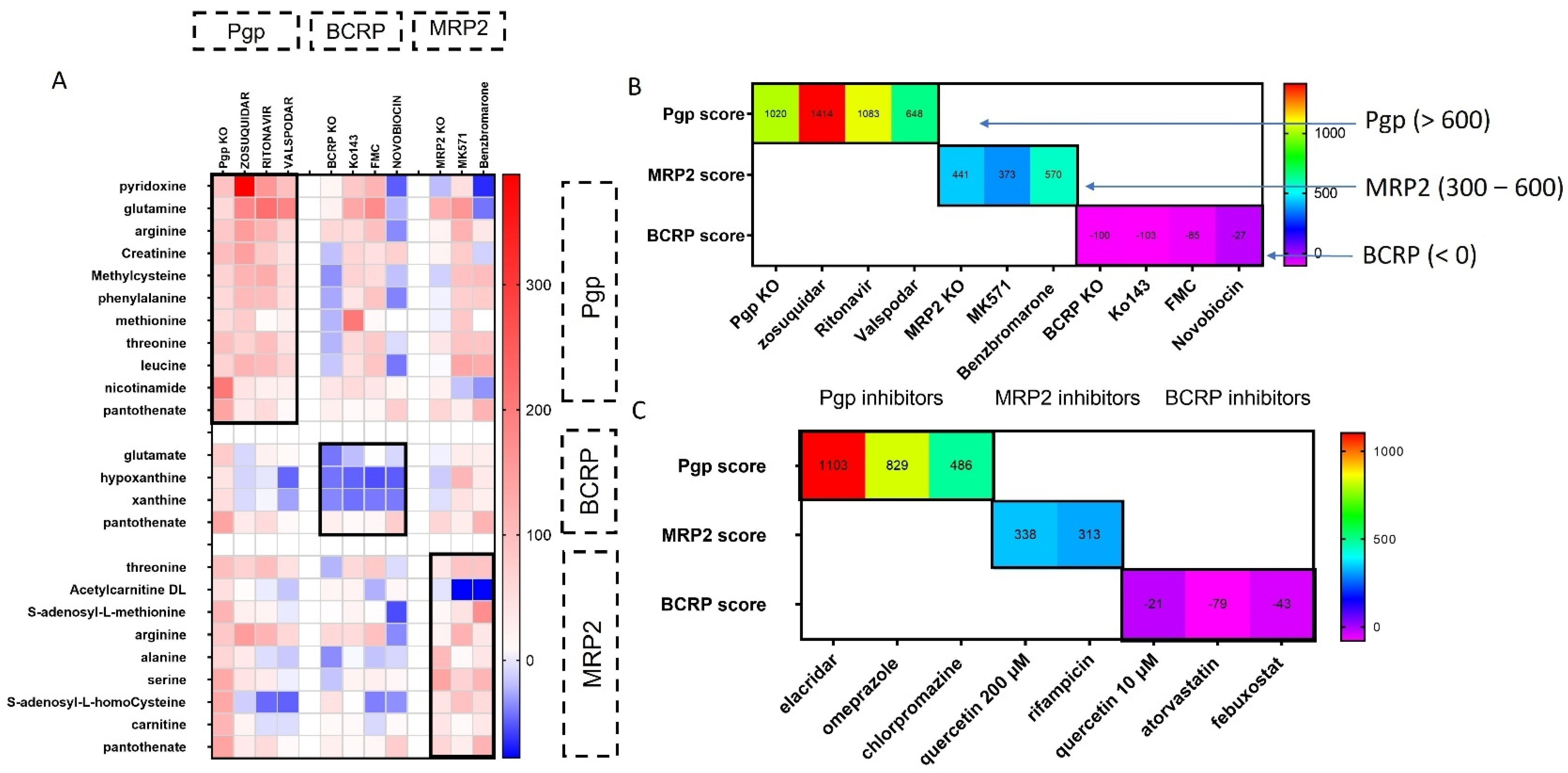 Cells 11 03286 g005 Cells 11 03286 g005