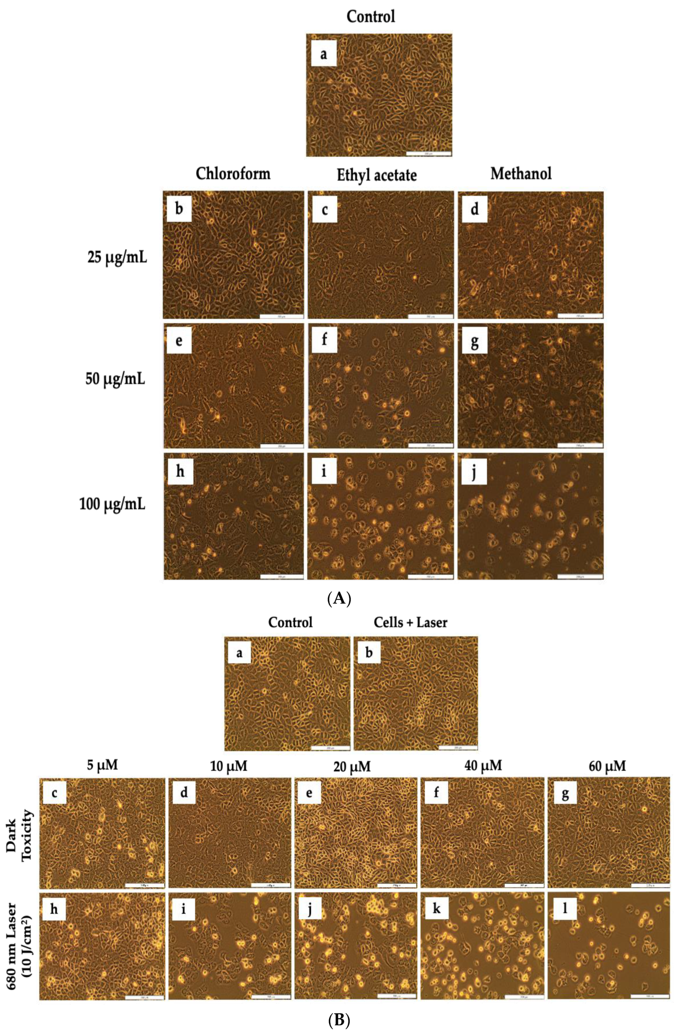 Cells 11 03288 g003 Cells 11 03288 g003