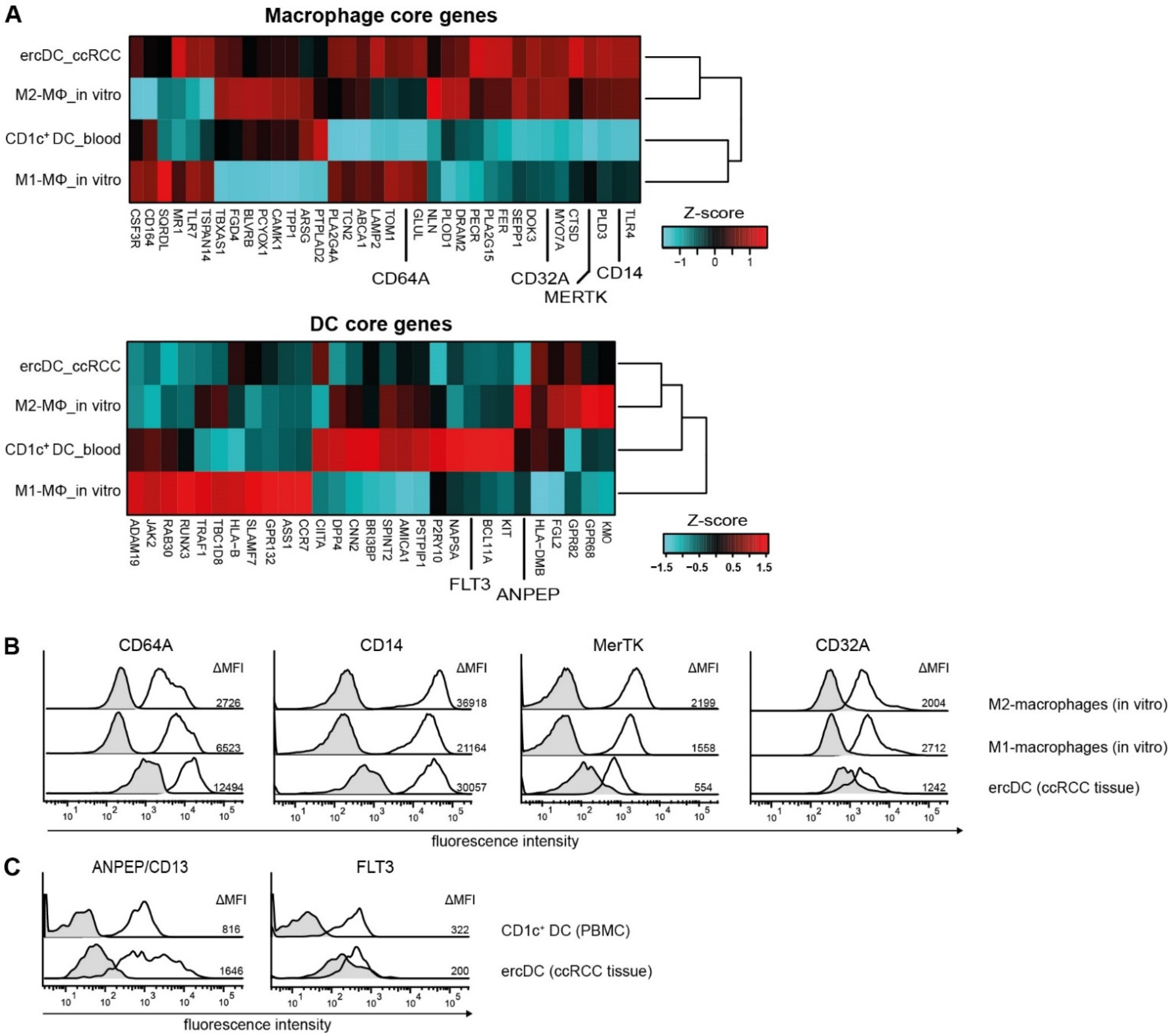 Cells 11 03289 g001 Cells 11 03289 g001