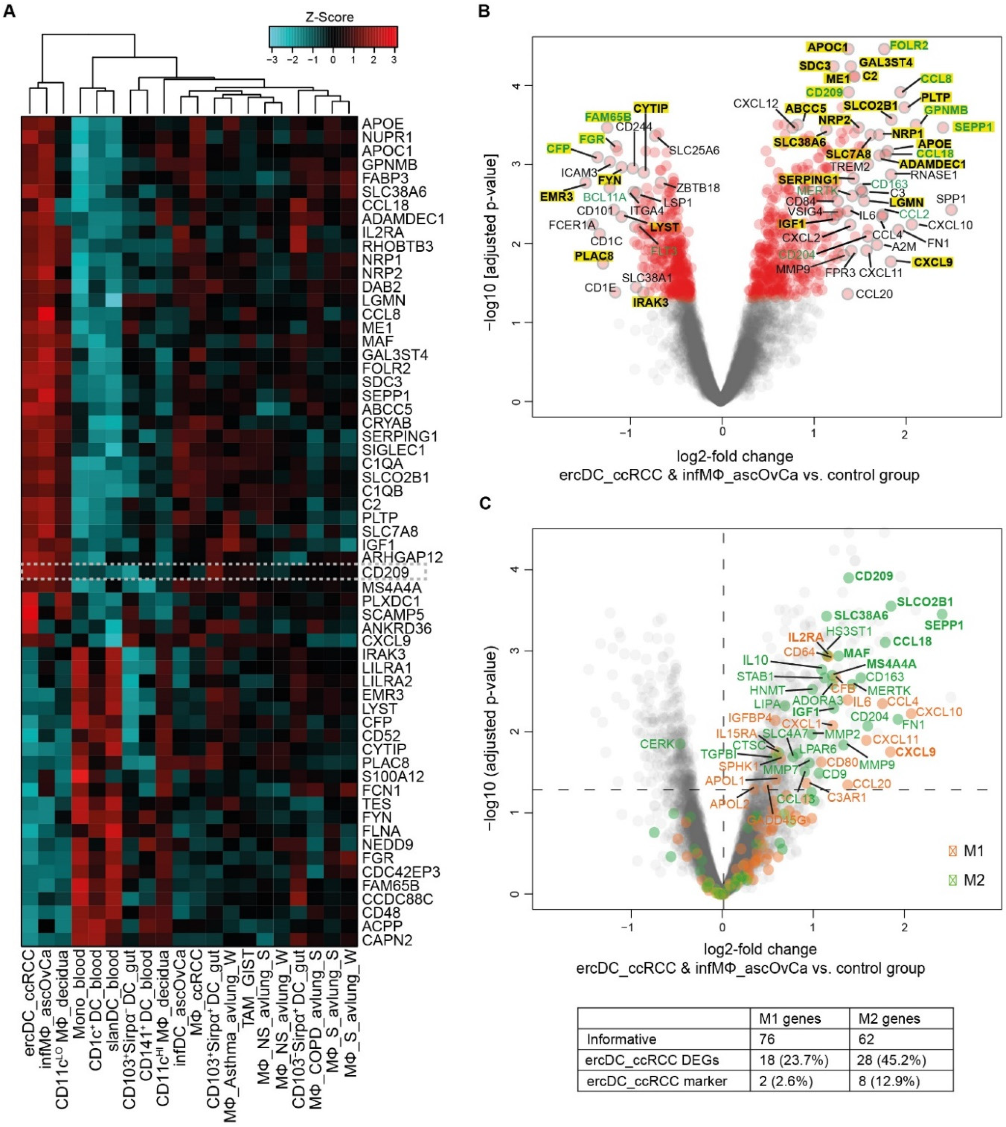 Cells 11 03289 g004 Cells 11 03289 g004