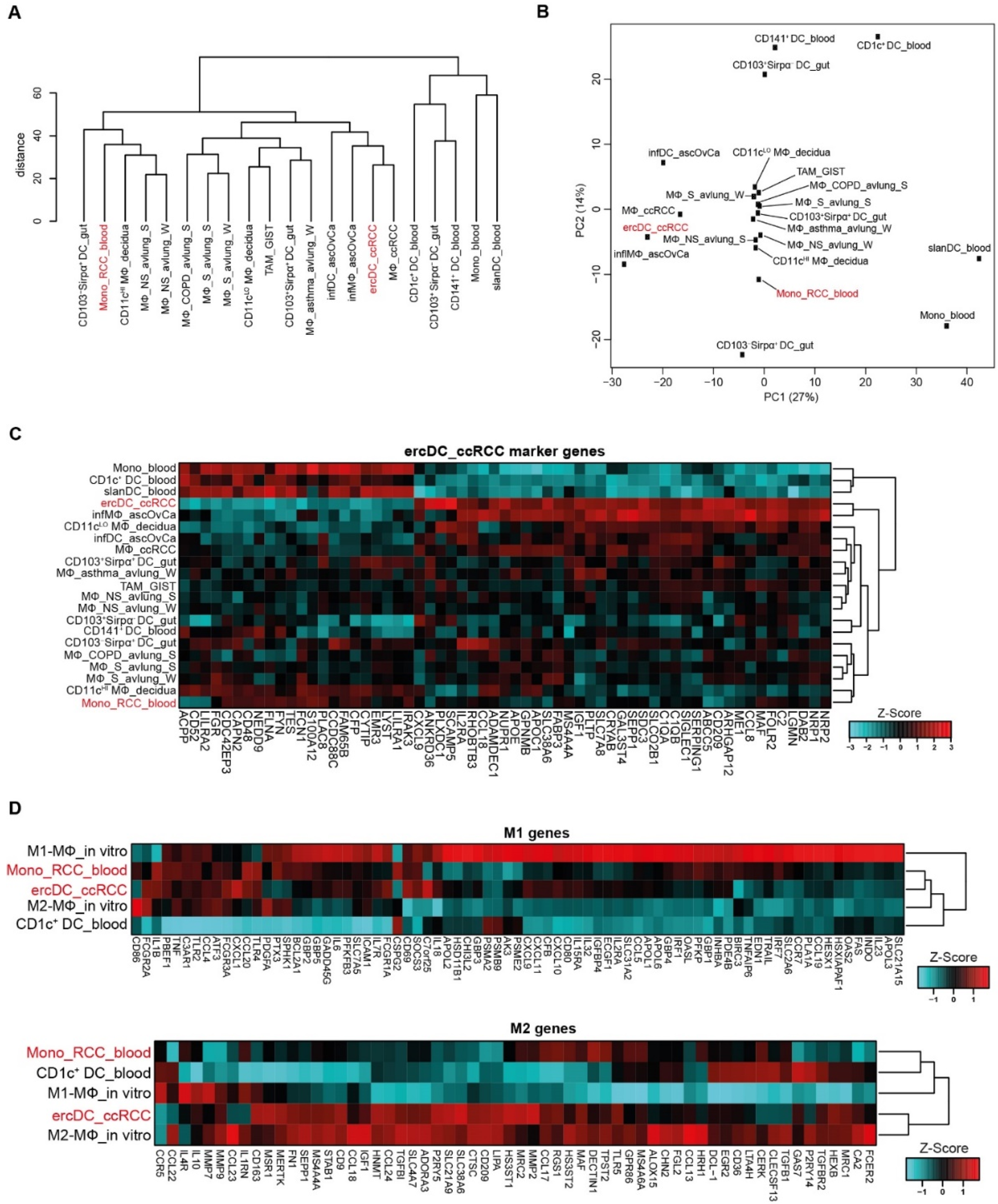 Cells 11 03289 g006 Cells 11 03289 g006