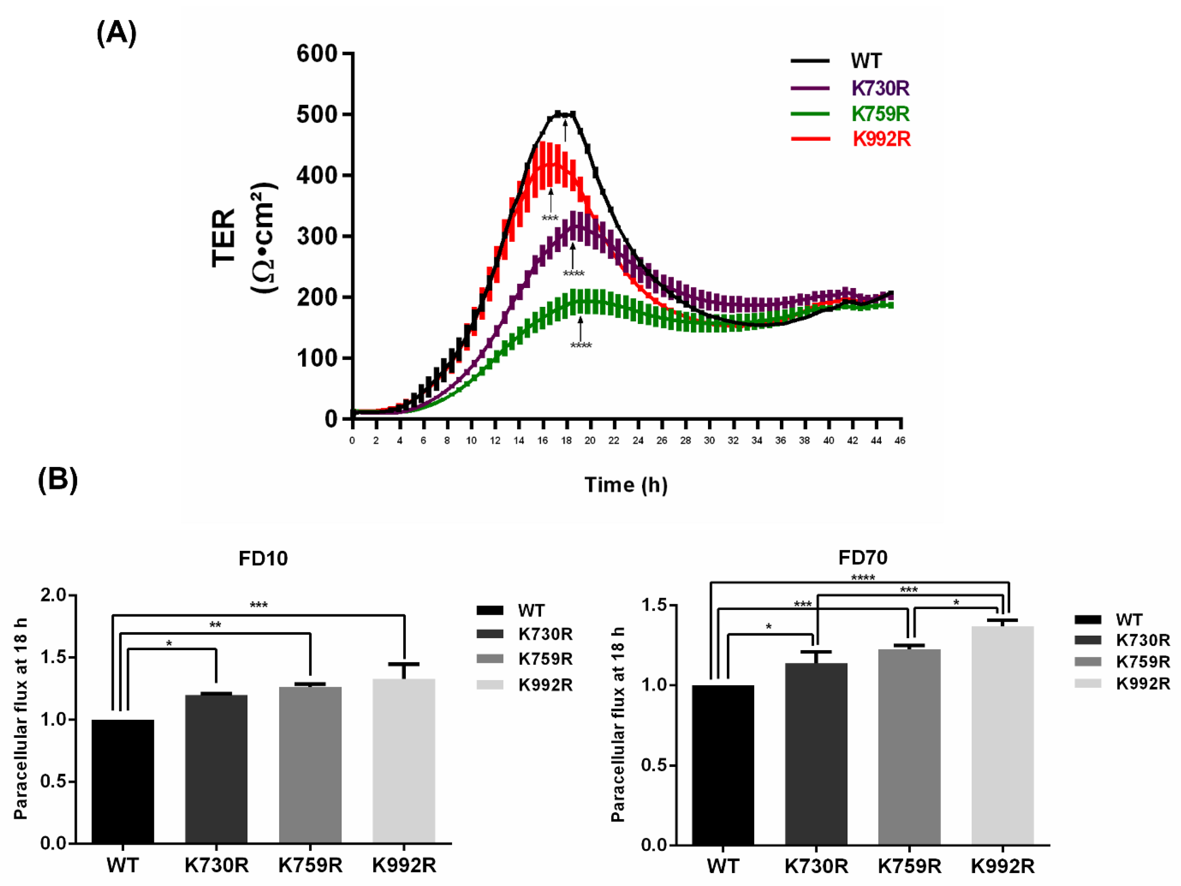 Cells 11 03296 g005 Cells 11 03296 g005