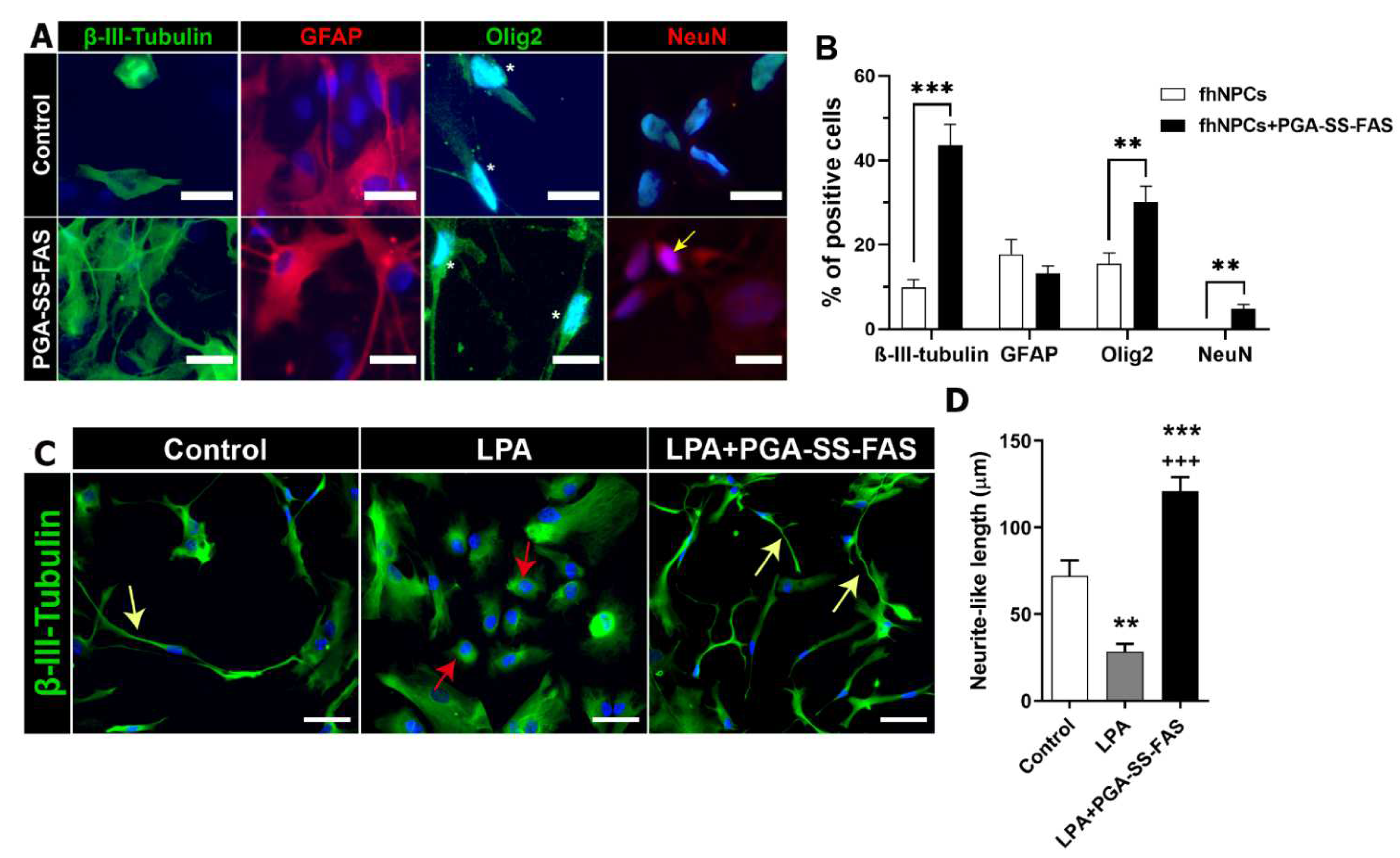 Cells 11 03304 g003 Cells 11 03304 g003
