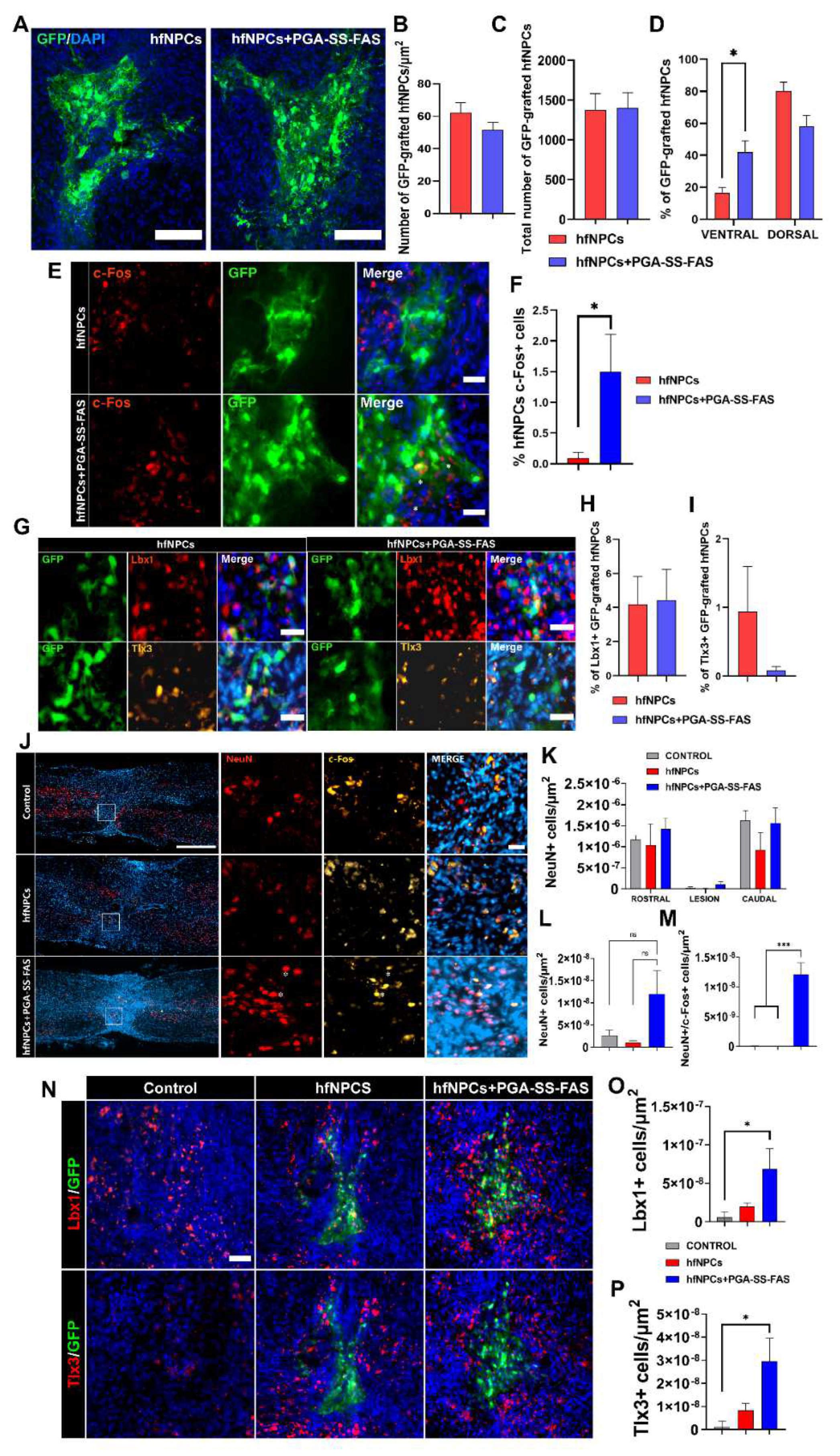 Cells 11 03304 g004 Cells 11 03304 g004