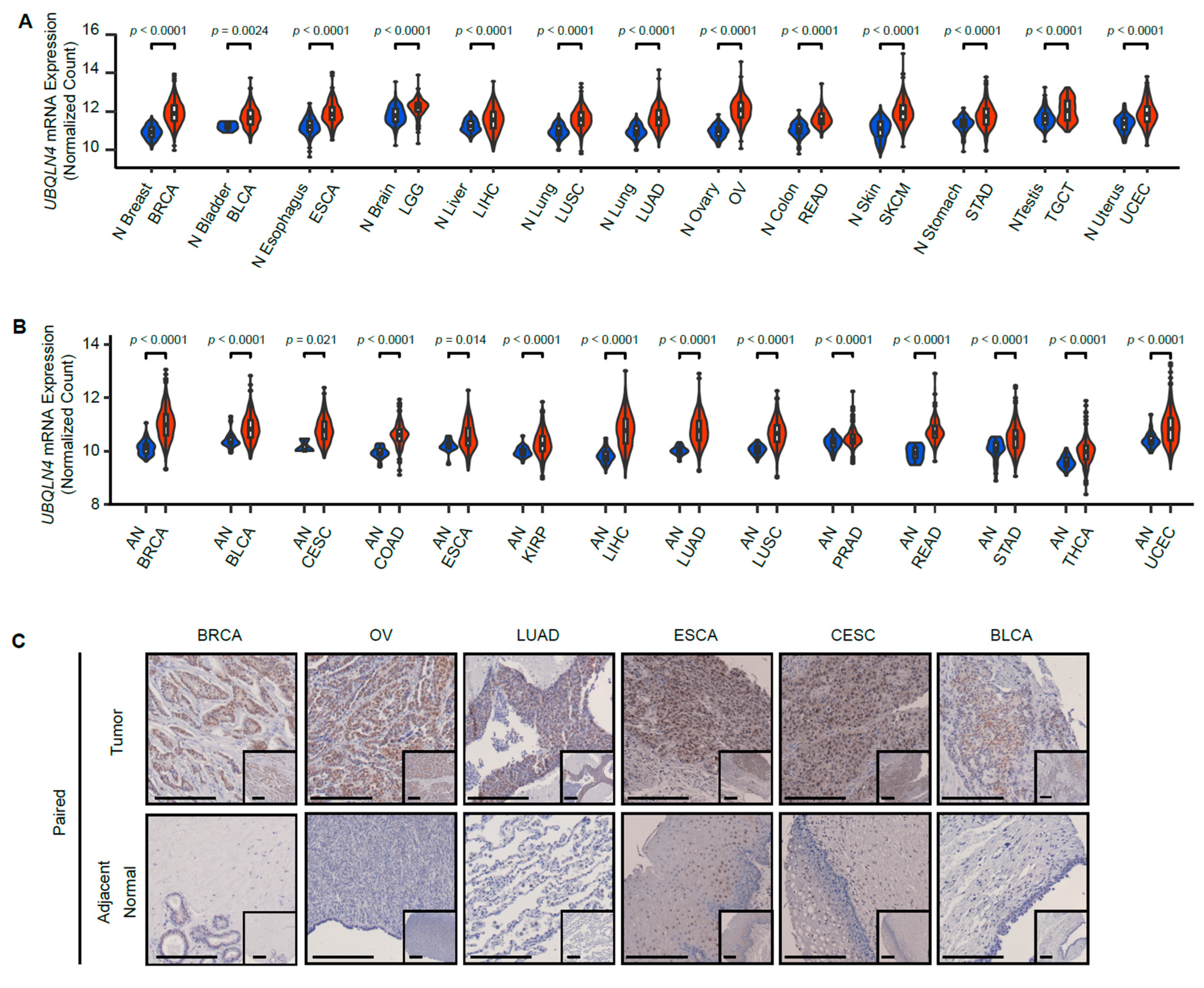Cells 11 03311 g001a