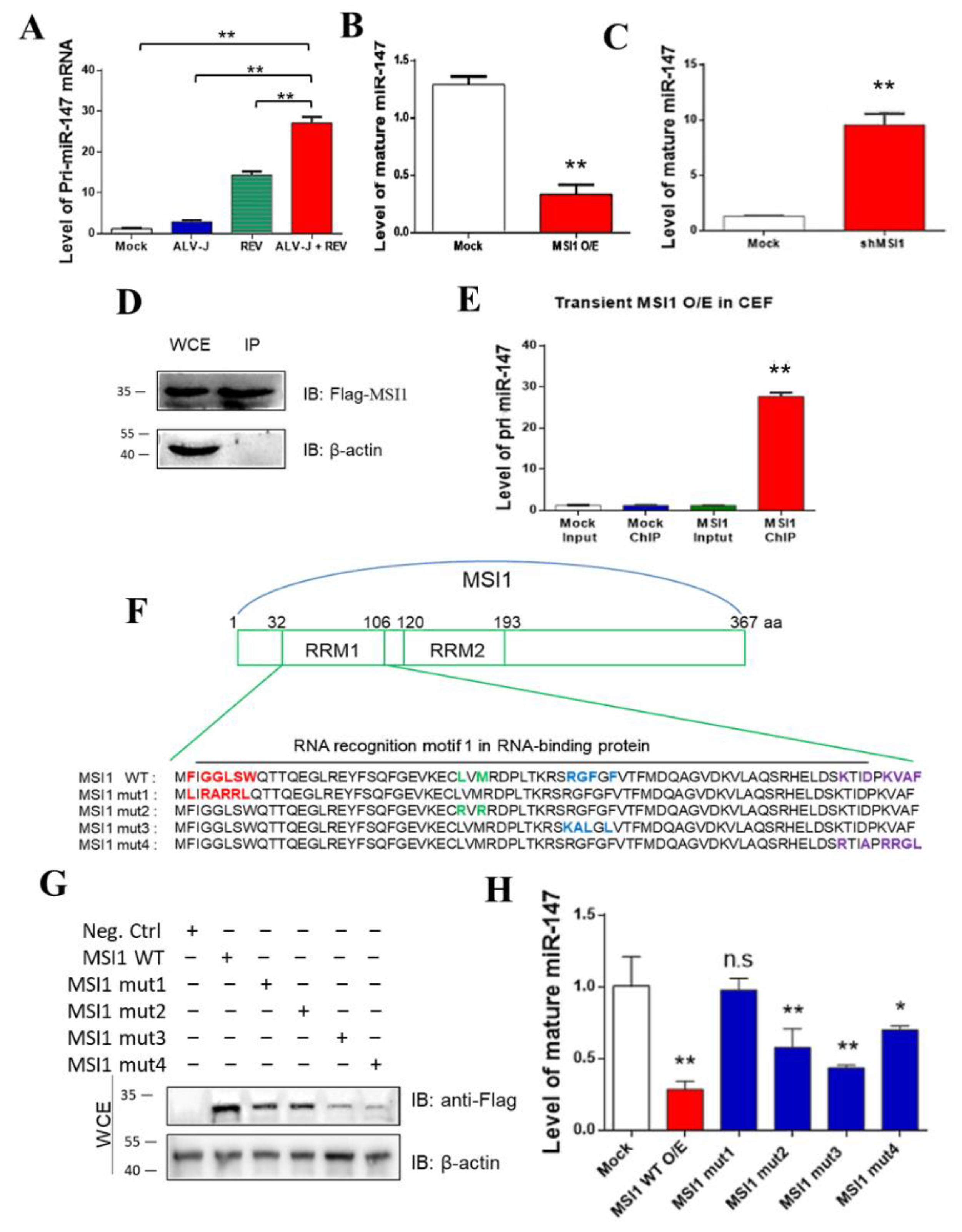 Cells 11 03312 g004 Cells 11 03312 g004