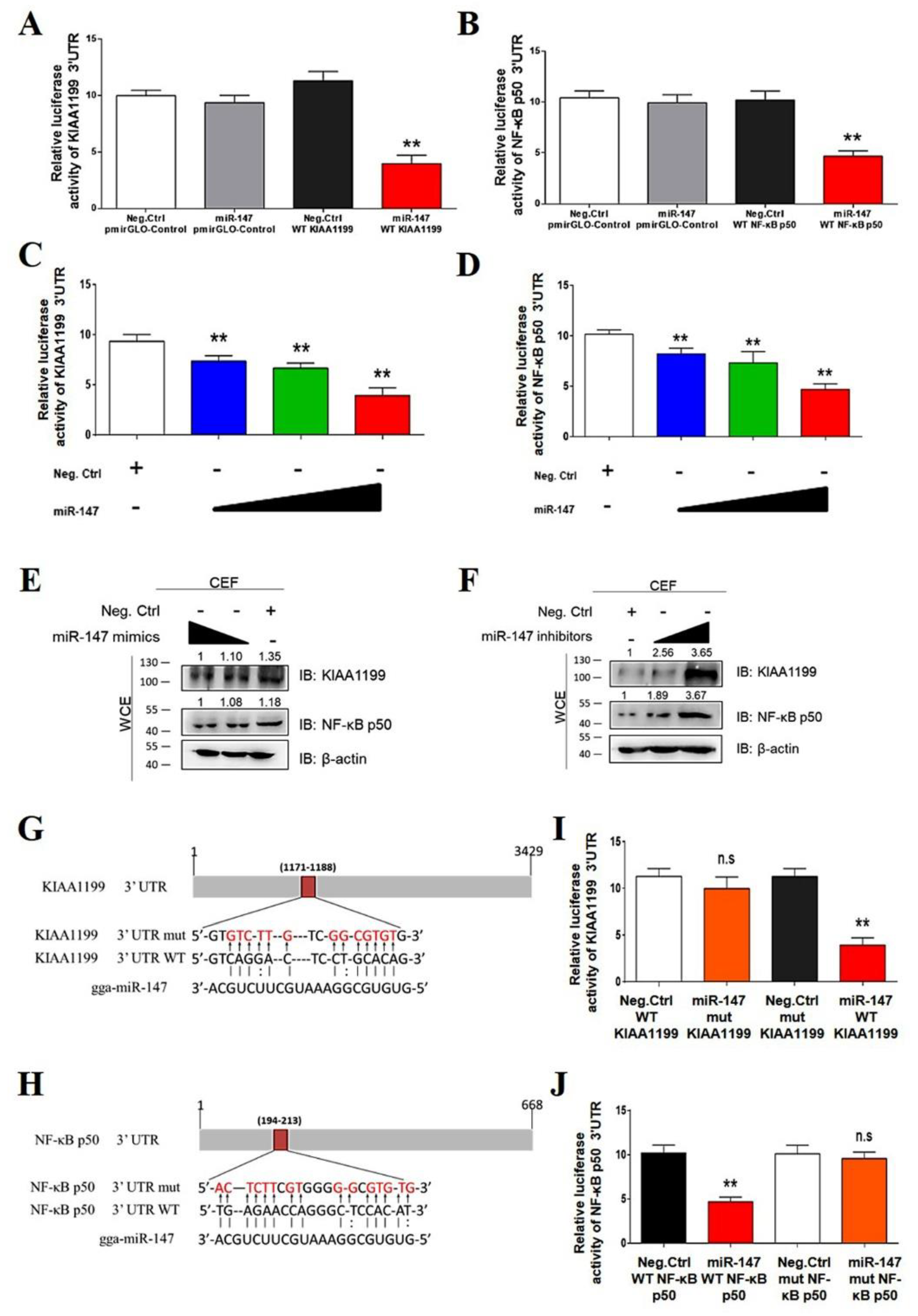 Cells 11 03312 g005 Cells 11 03312 g005