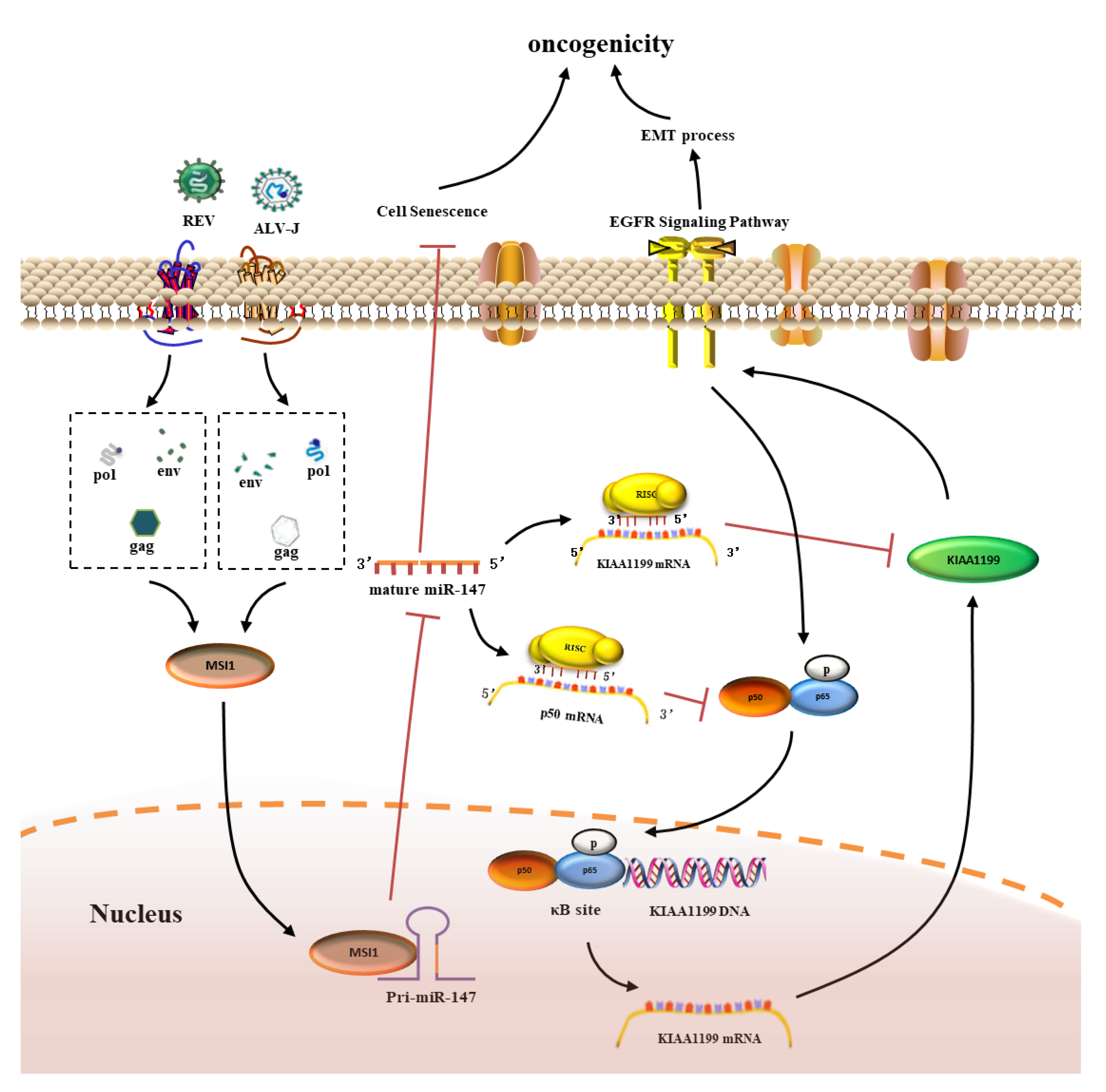 Cells 11 03312 g010 Cells 11 03312 g010