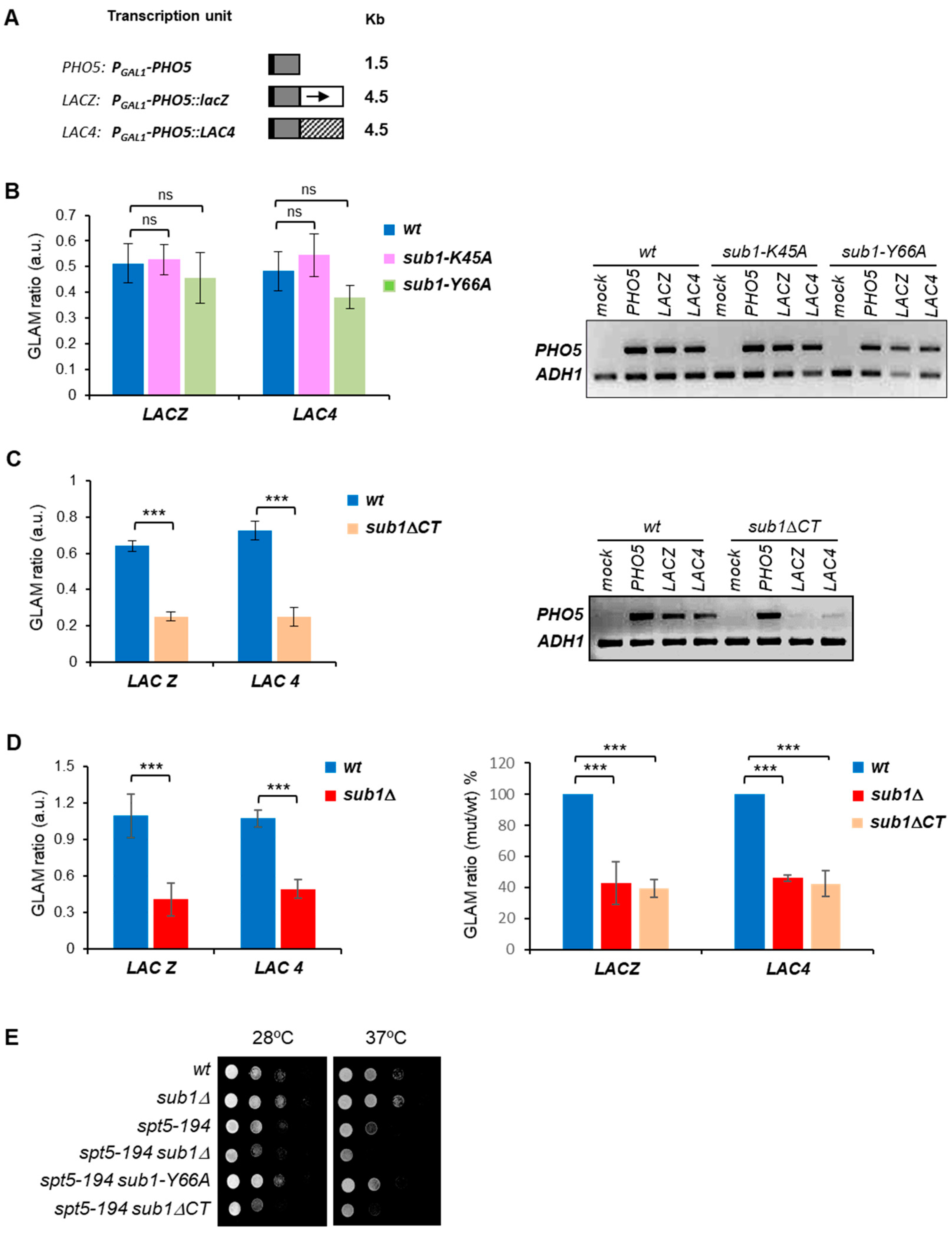 Cells 11 03320 g003 Cells 11 03320 g003