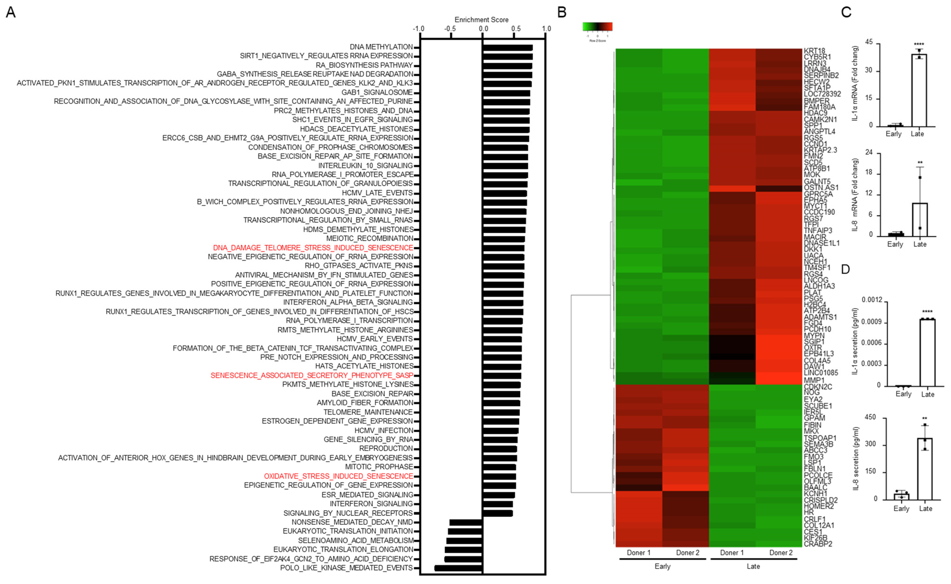 Cells 11 03324 g003 Cells 11 03324 g003