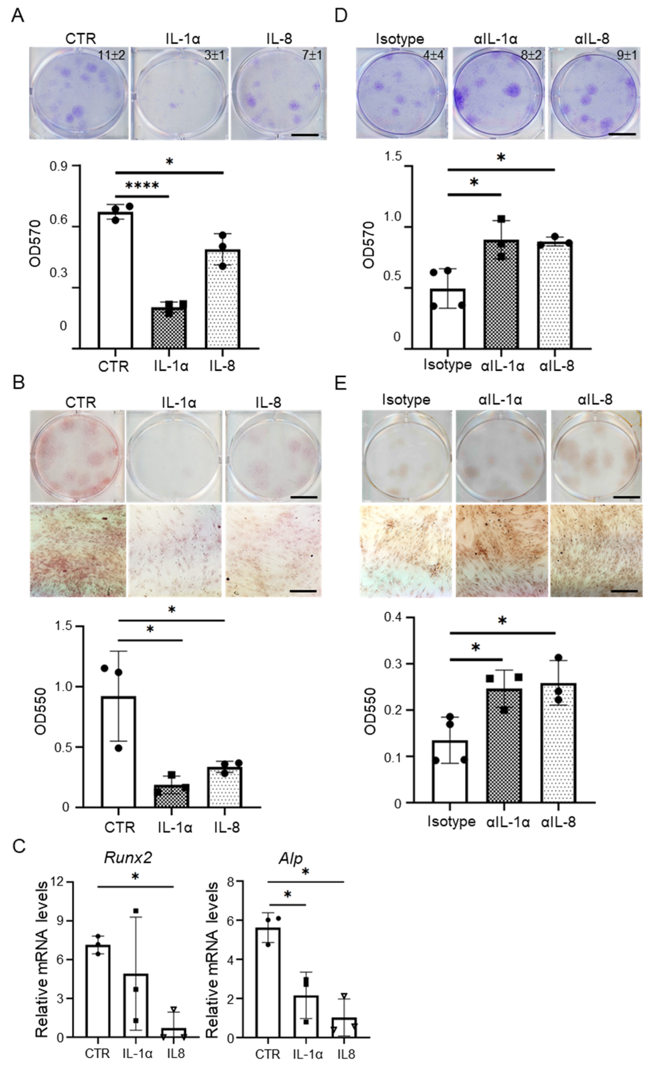 Cells 11 03324 g004 Cells 11 03324 g004