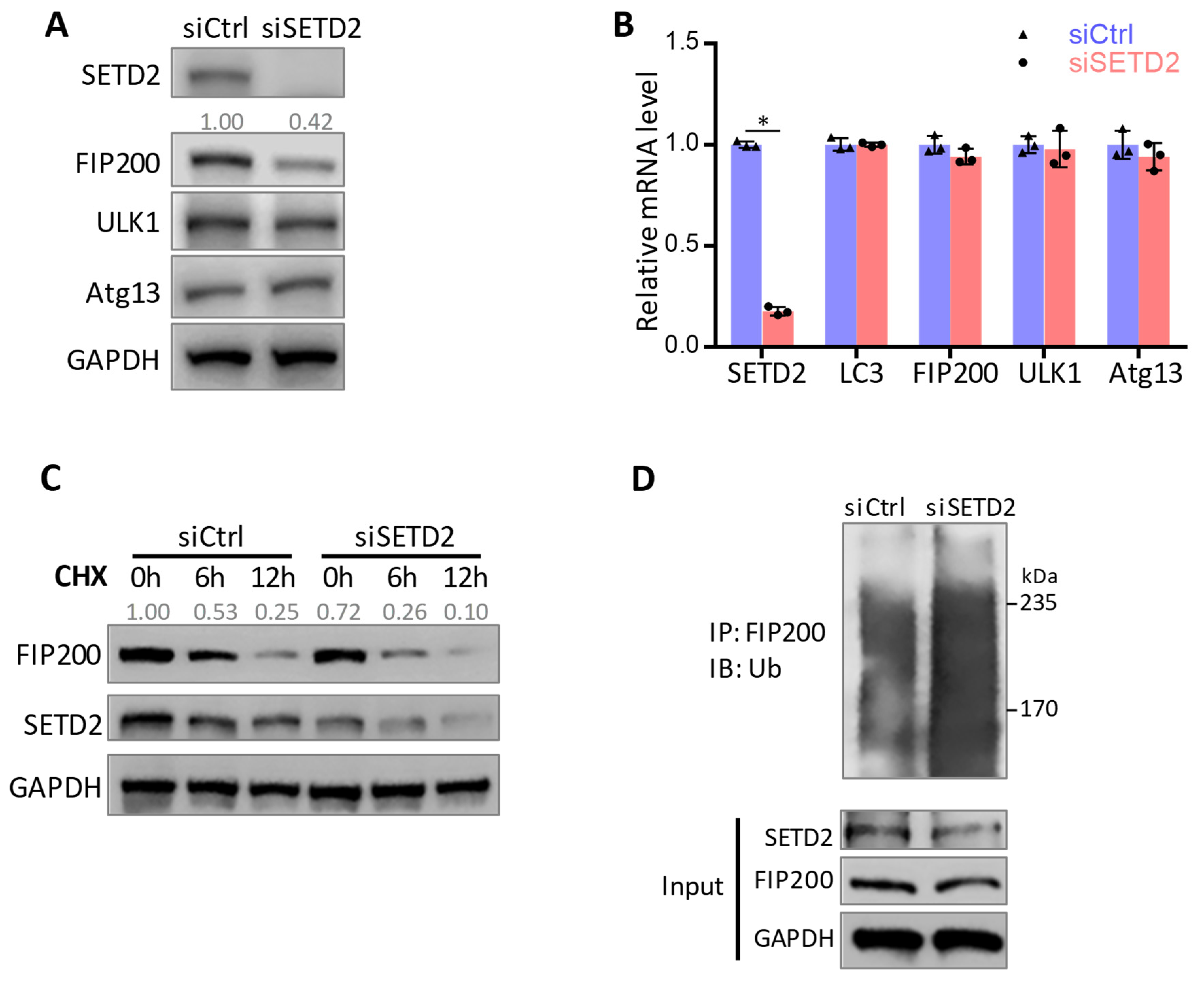 Cells 11 03333 g003 Cells 11 03333 g003