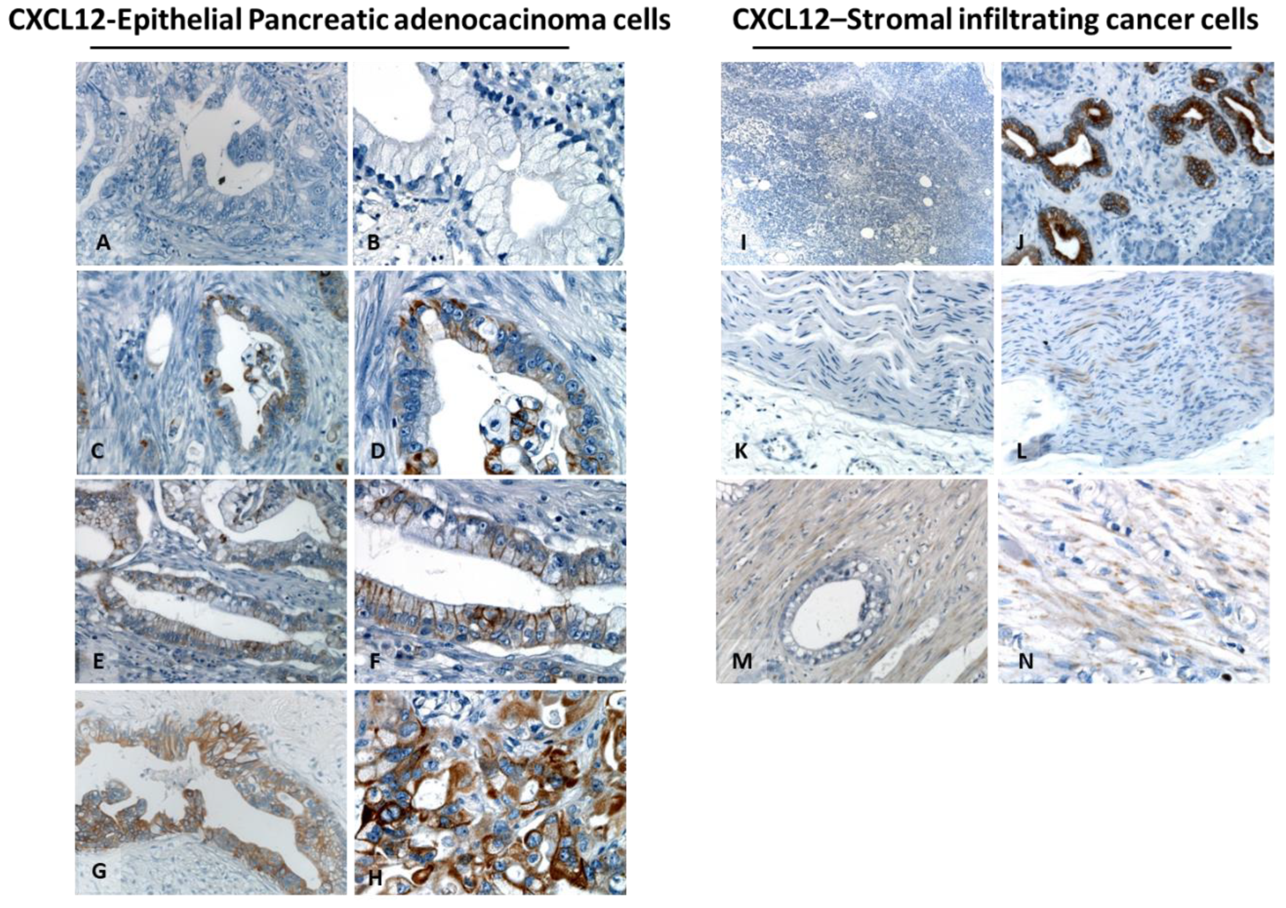 Cells 11 03340 g003 Cells 11 03340 g003