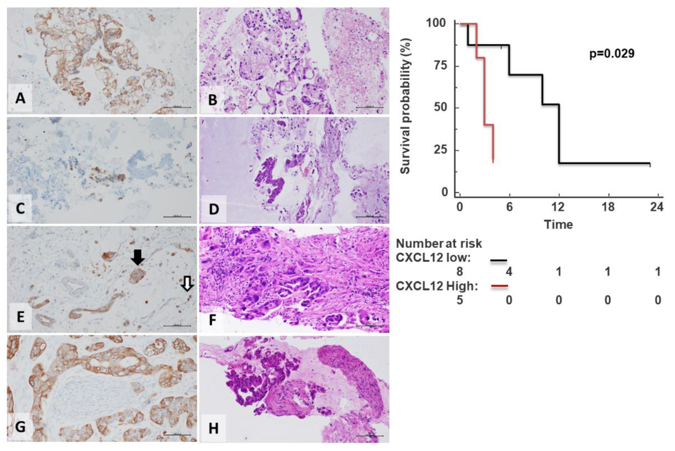 Cells 11 03340 g008 Cells 11 03340 g008