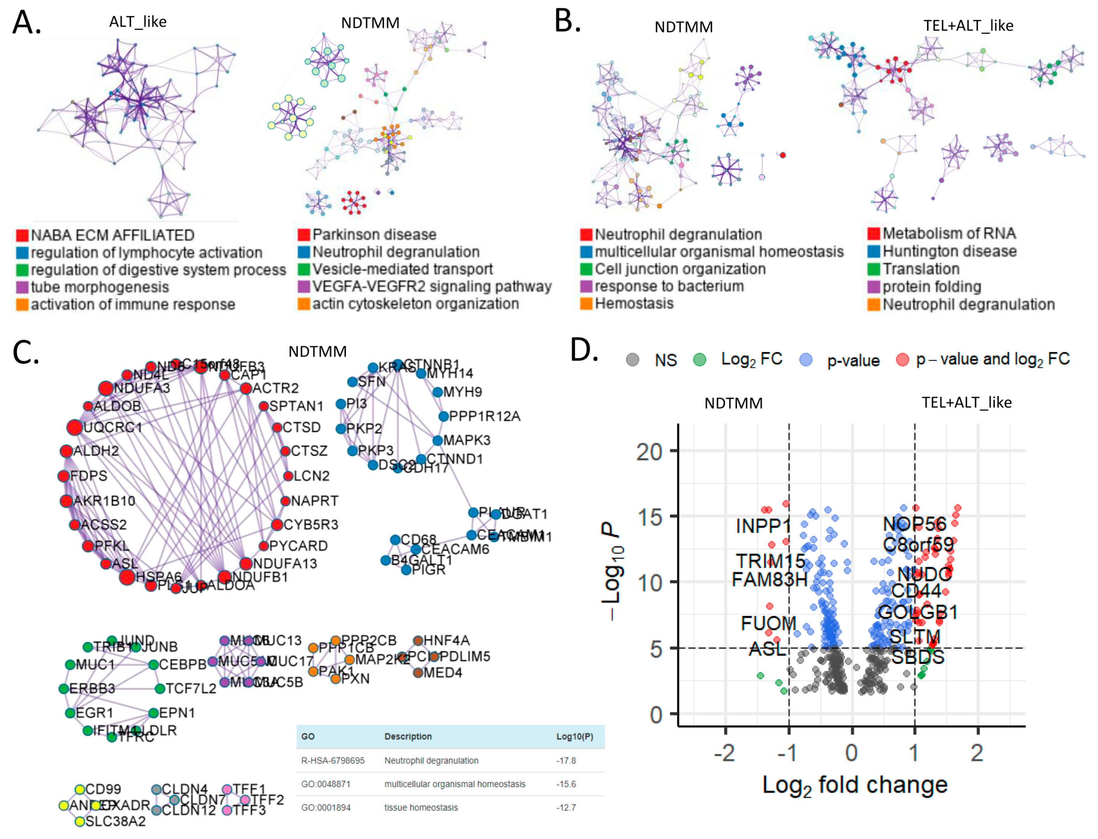 Cells 11 03342 g003a Cells 11 03342 g003a
