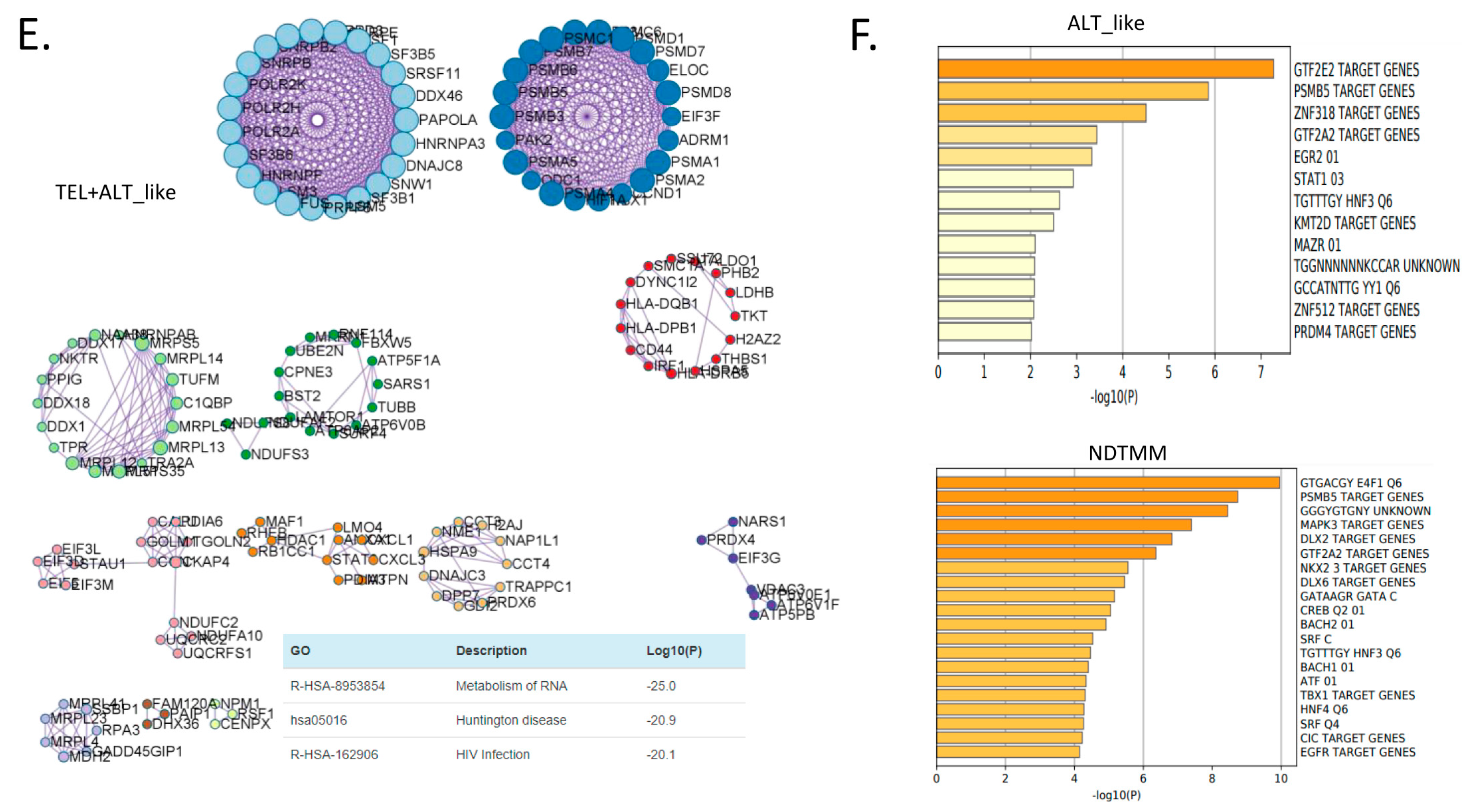 Cells 11 03342 g003b Cells 11 03342 g003b