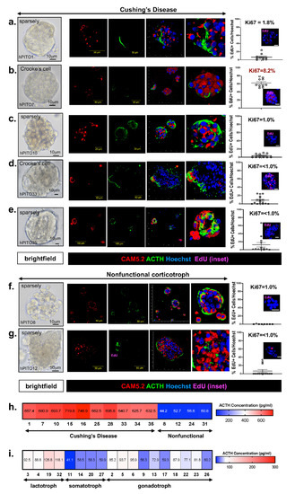 Cells 11 03344 g001 550