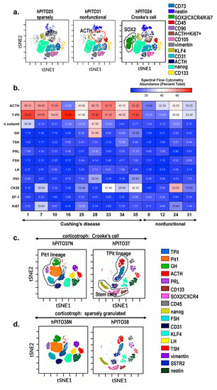 Cells 11 03344 g002 550