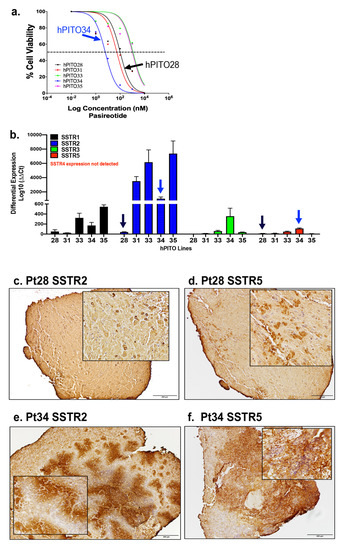 Cells 11 03344 g005 550