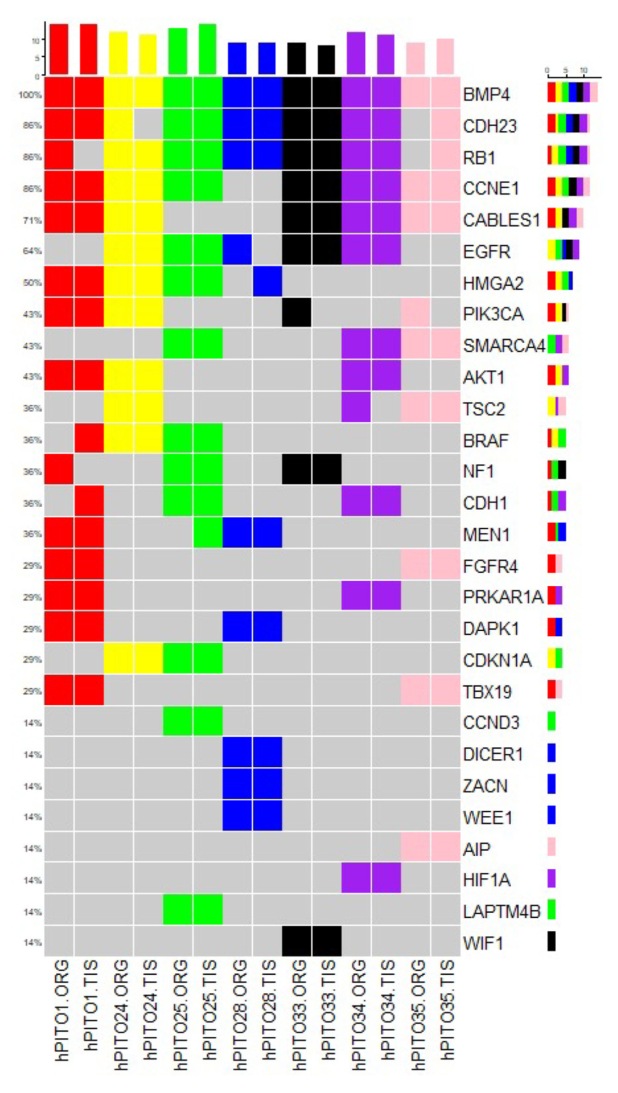 Cells 11 03344 g006 Cells 11 03344 g006