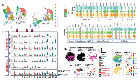 Cells 11 03344 g007 550