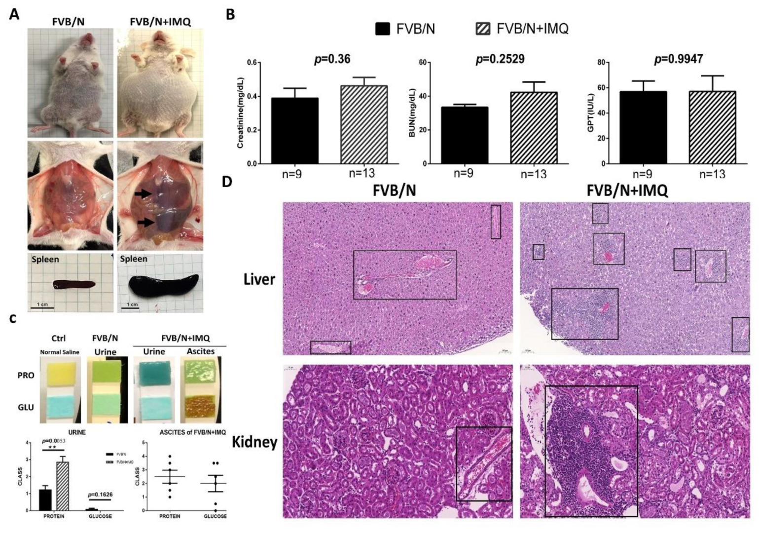 Cells 11 03350 g001 Cells 11 03350 g001