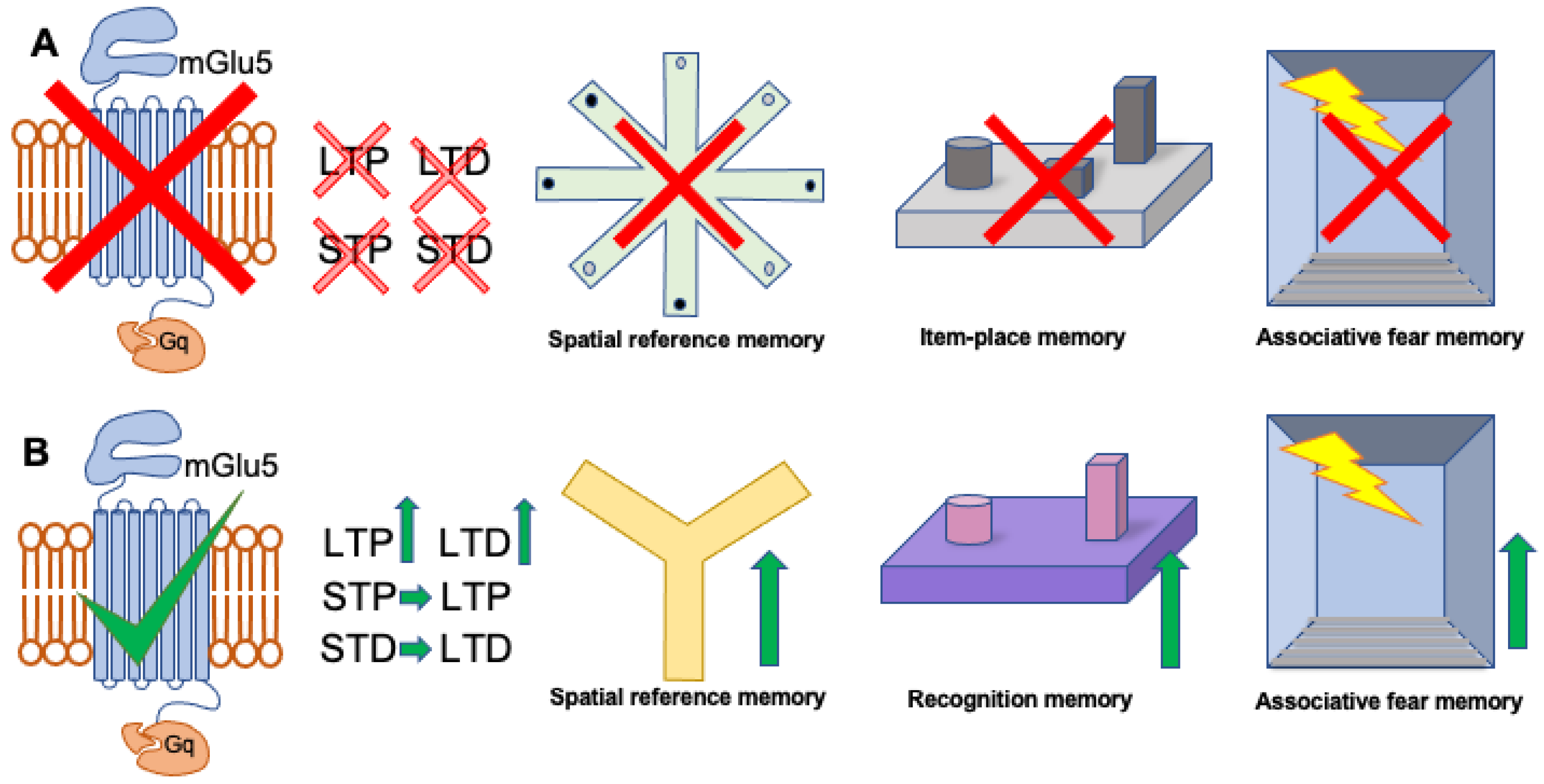 Cells 11 03352 g001 Cells 11 03352 g001