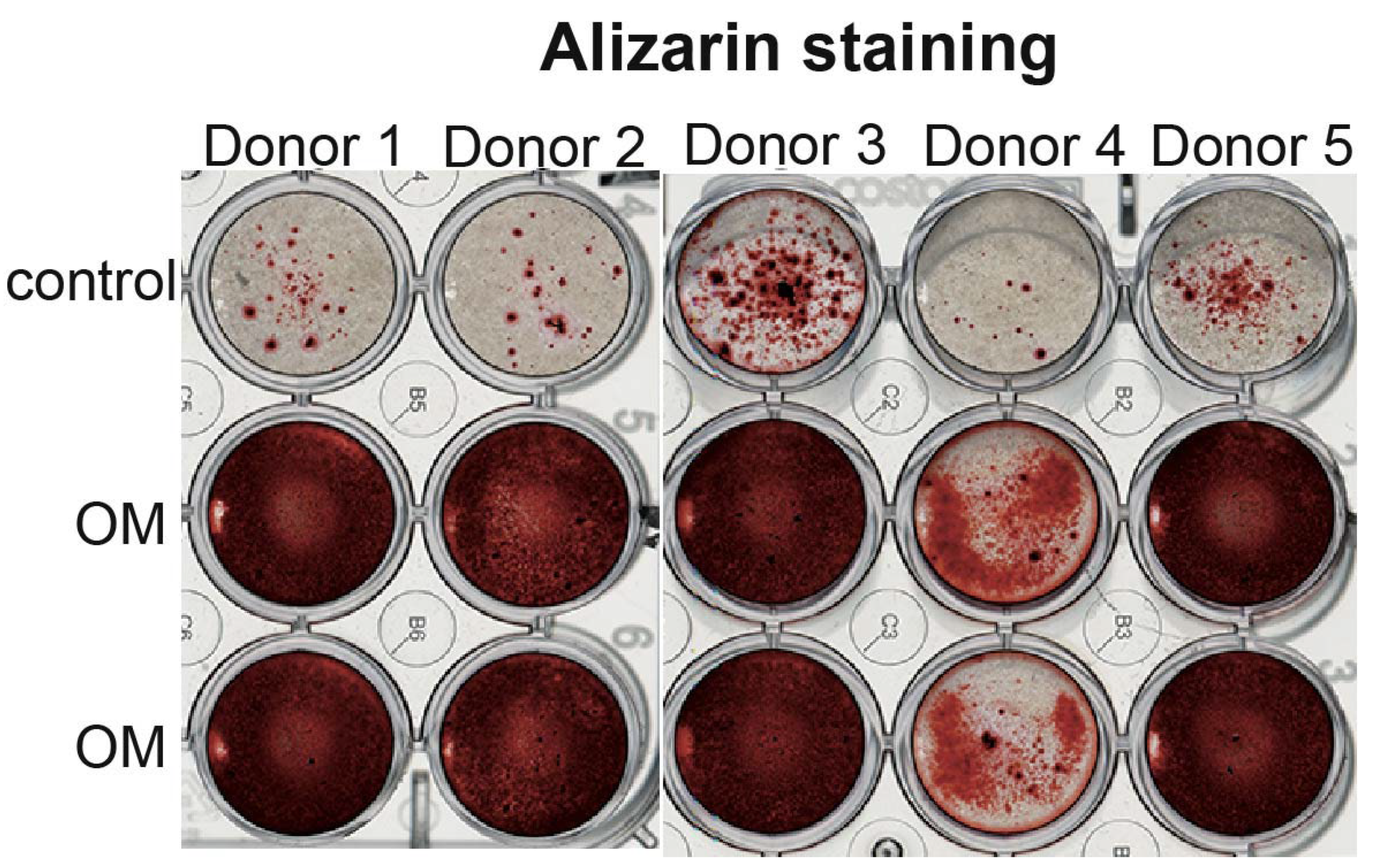 Cells 11 03356 g004 Cells 11 03356 g004